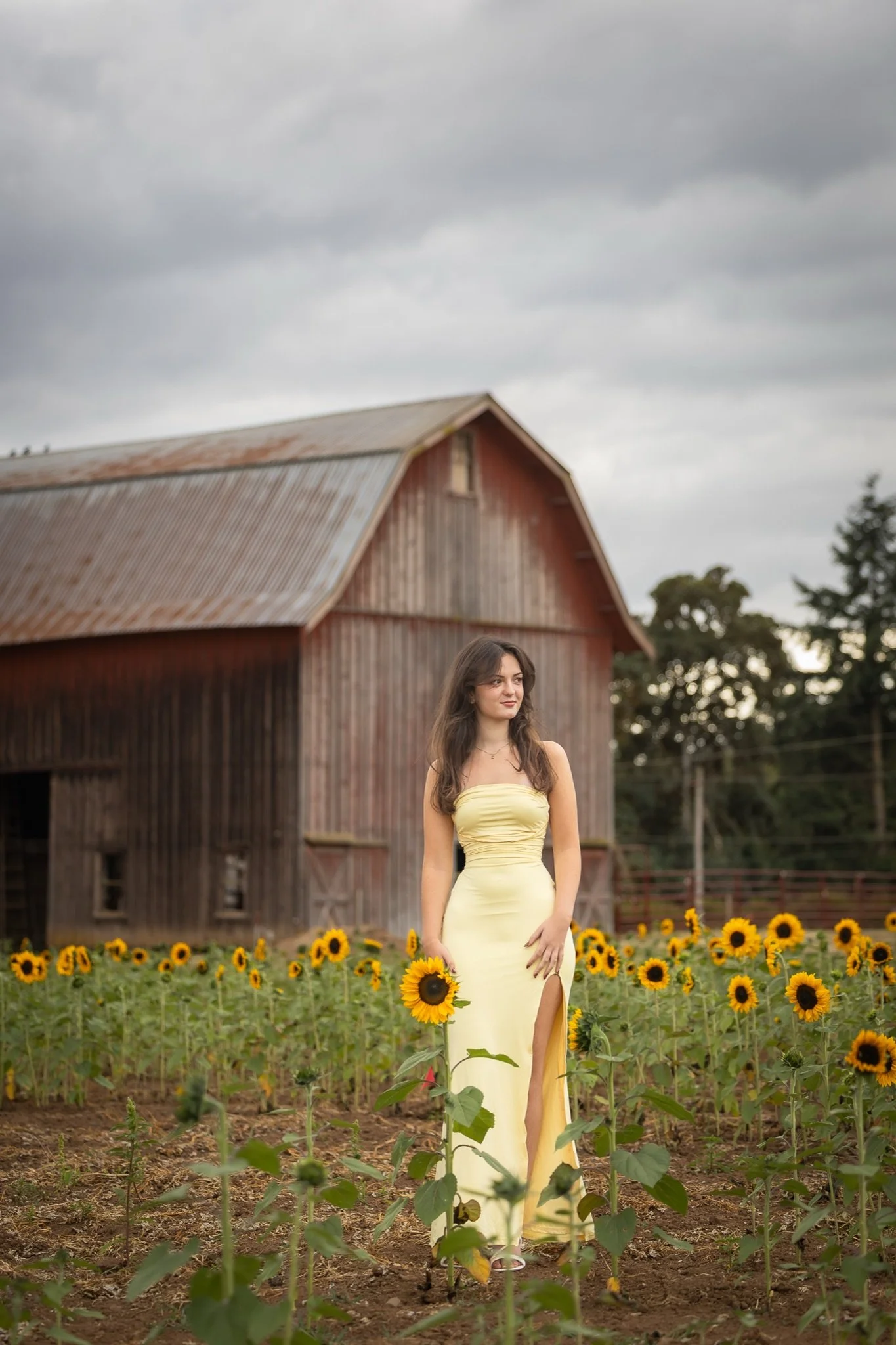 Sandy-Oregon-Senior-Photographer-Sunflowers-Studio623Photography-05.jpg