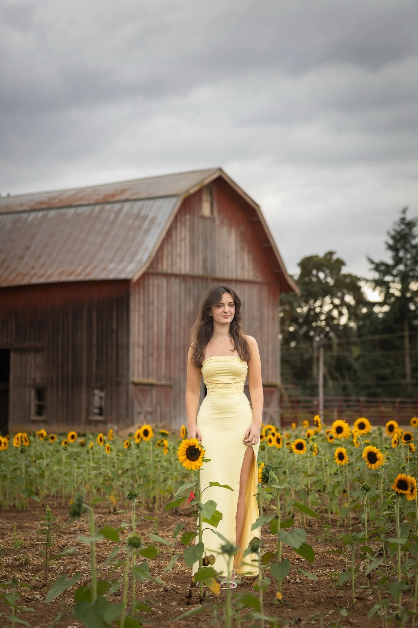 Sandy-Oregon-Senior-Photographer-Sunflowers-Studio623Photography-06.jpg