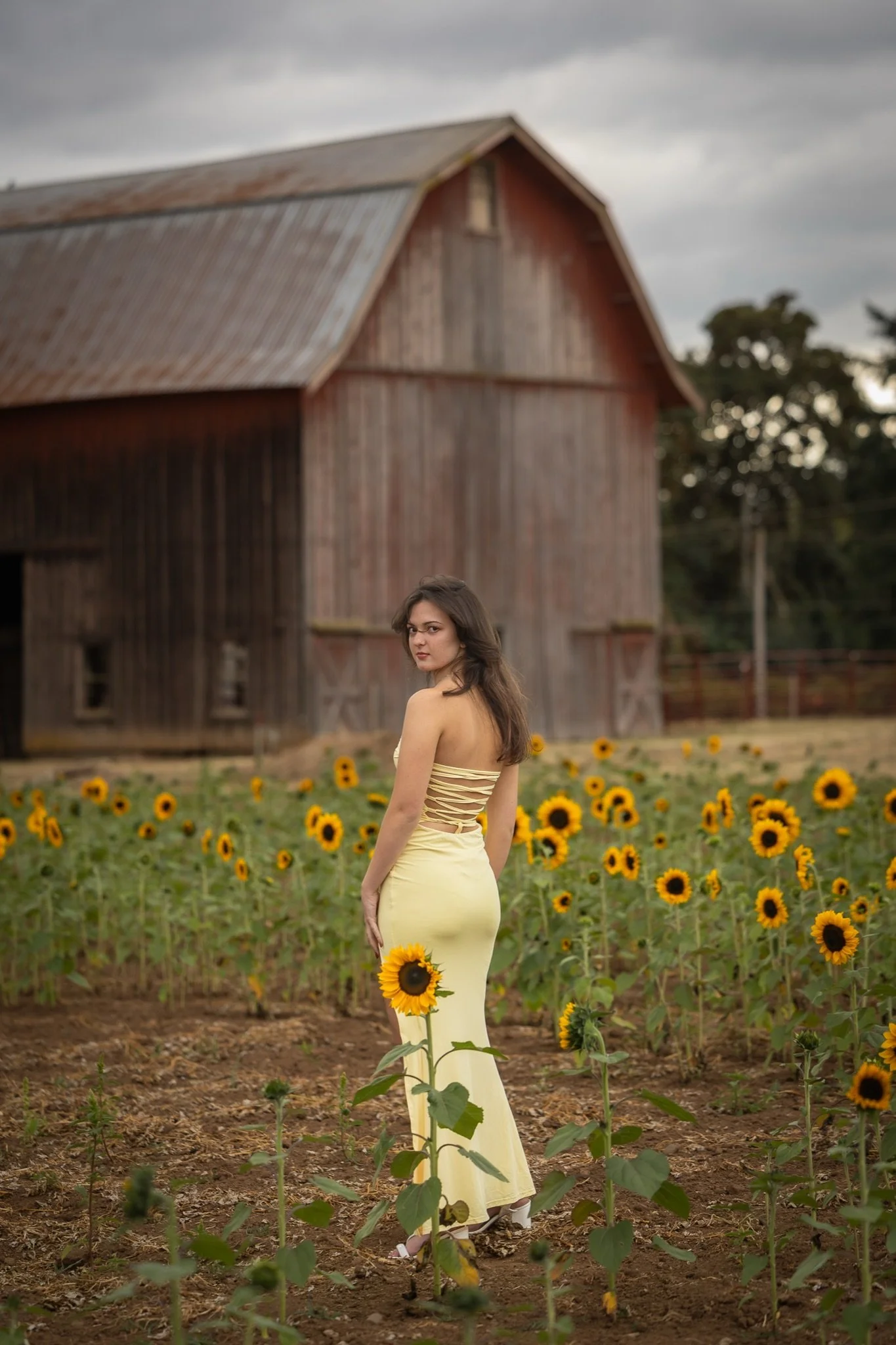 Sandy-Oregon-Senior-Photographer-Sunflowers-Studio623Photography-08.jpg
