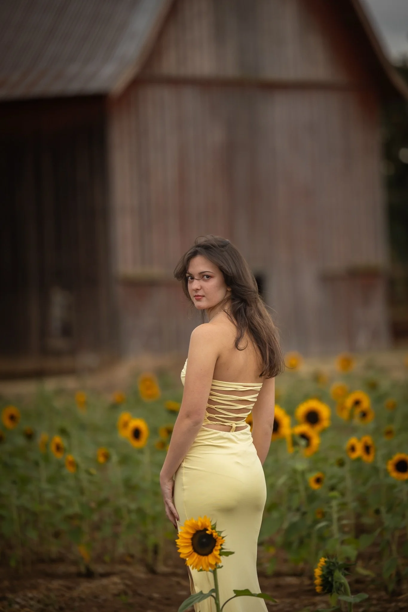 Sandy-Oregon-Senior-Photographer-Sunflowers-Studio623Photography-09.jpg