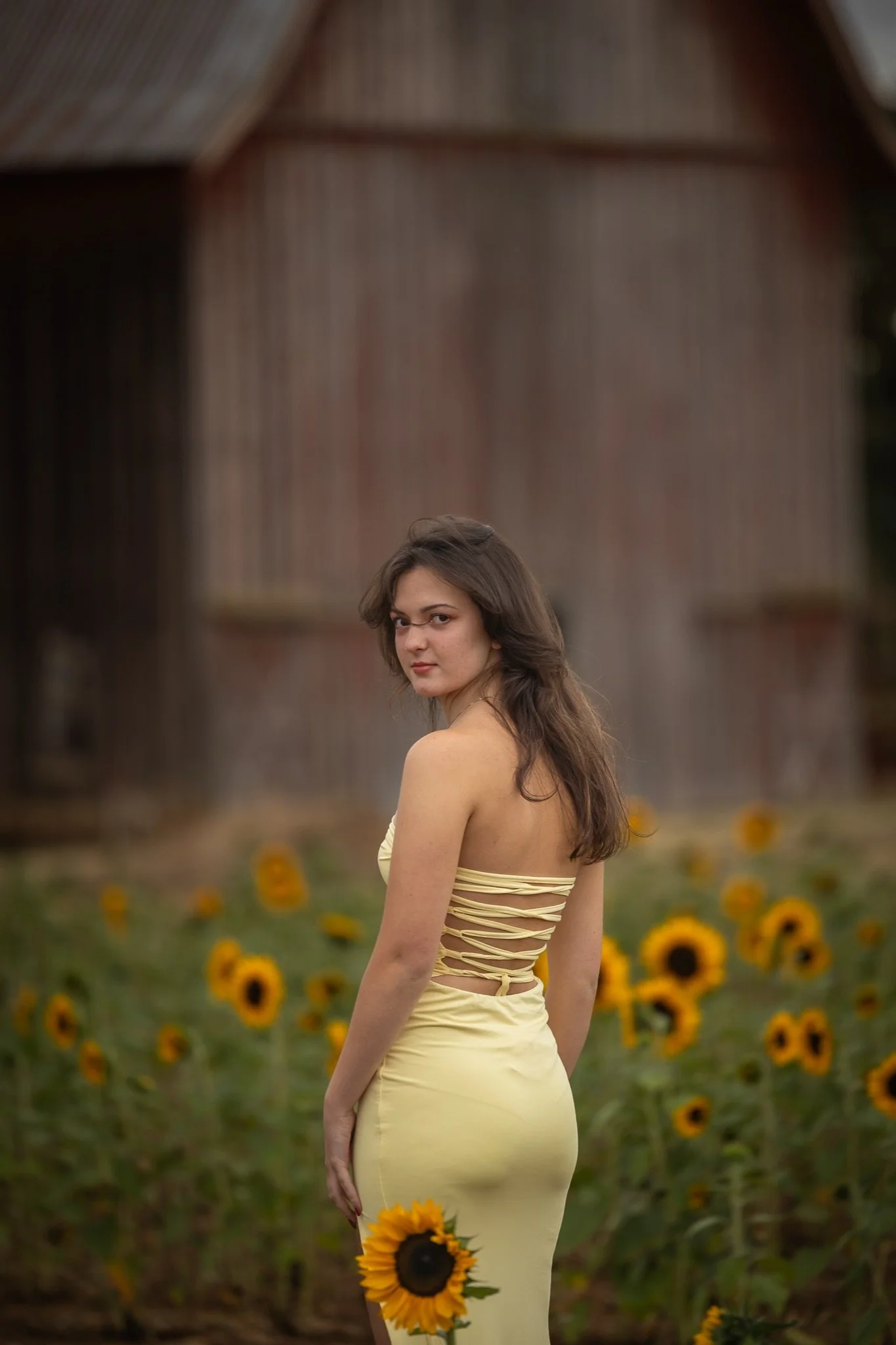 Sandy-Oregon-Senior-Photographer-Sunflowers-Studio623Photography-10.jpg