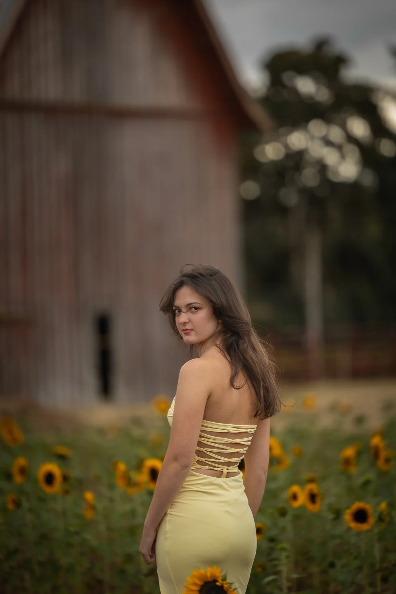 Sandy-Oregon-Senior-Photographer-Sunflowers-Studio623Photography-11.jpg