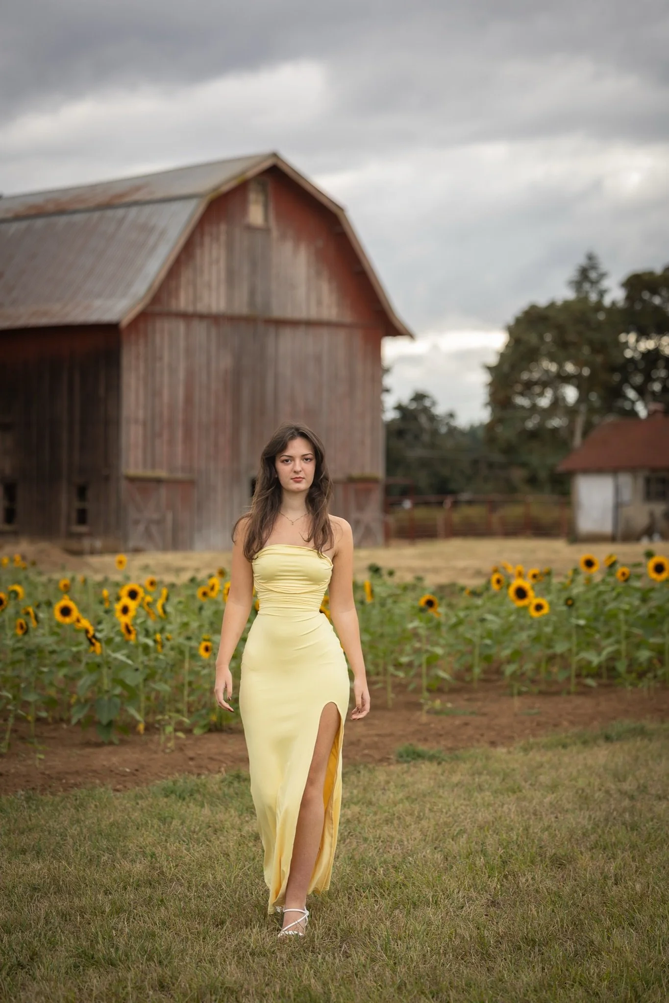 Sandy-Oregon-Senior-Photographer-Sunflowers-Studio623Photography-12.jpg