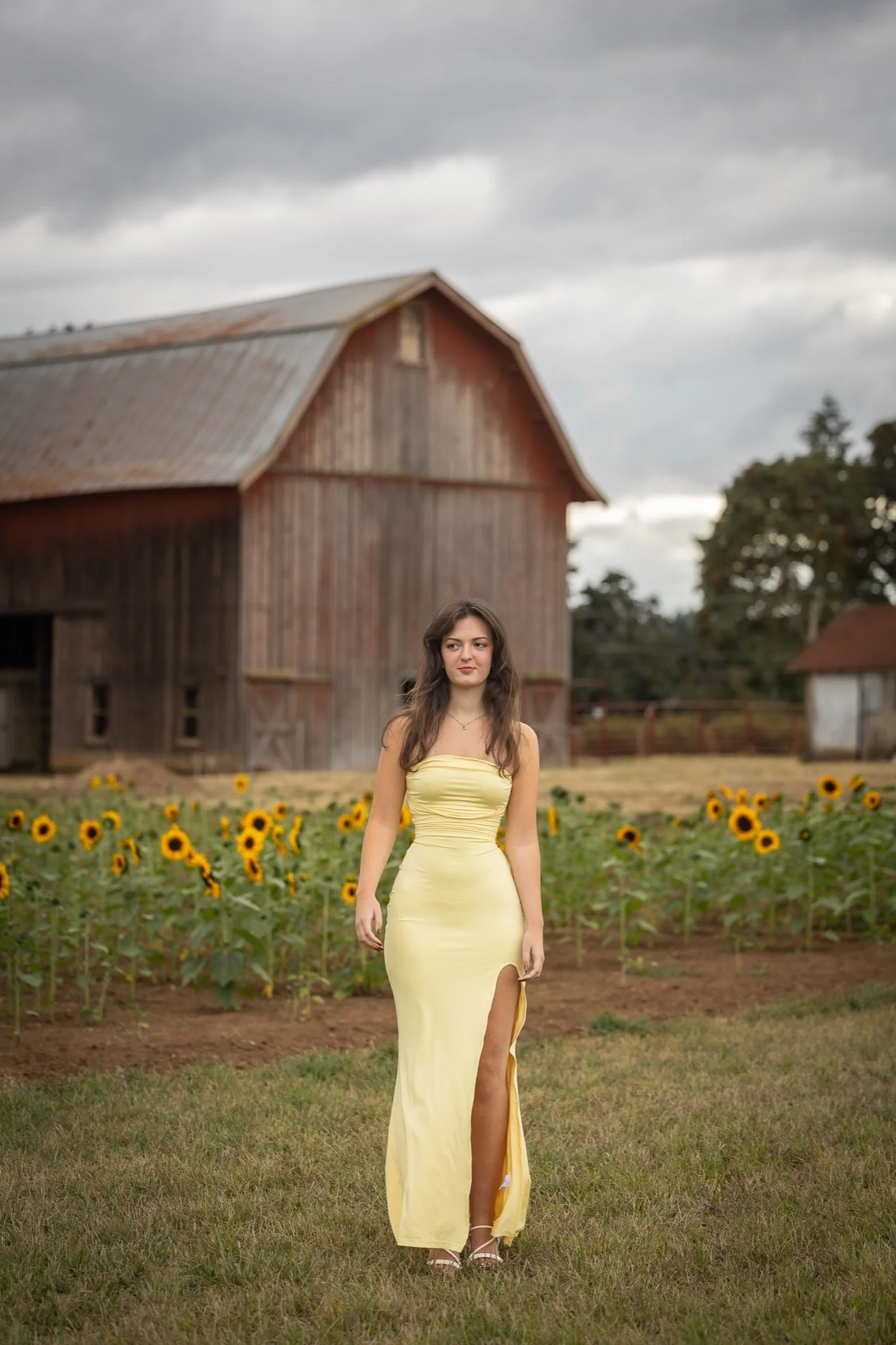 Sandy-Oregon-Senior-Photographer-Sunflowers-Studio623Photography-13.jpg