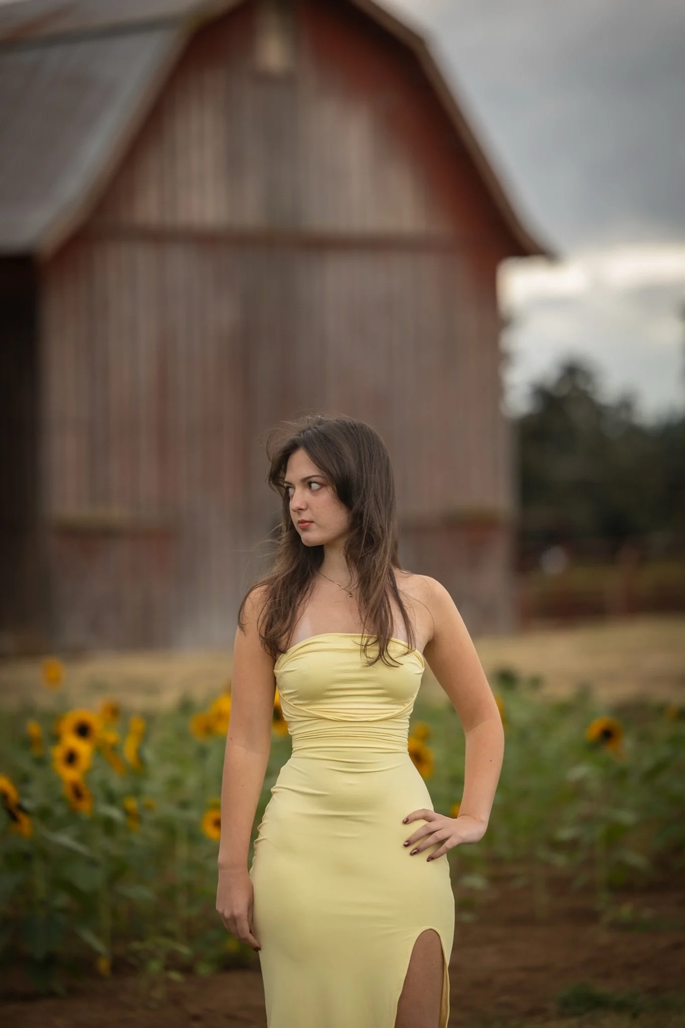 Sandy-Oregon-Senior-Photographer-Sunflowers-Studio623Photography-14.jpg
