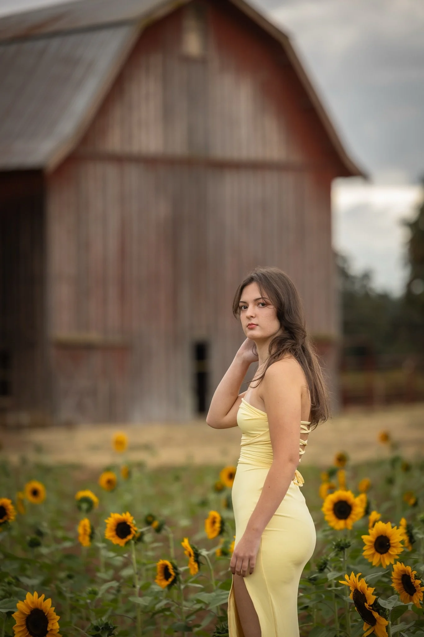 Sandy-Oregon-Senior-Photographer-Sunflowers-Studio623Photography-16.jpg