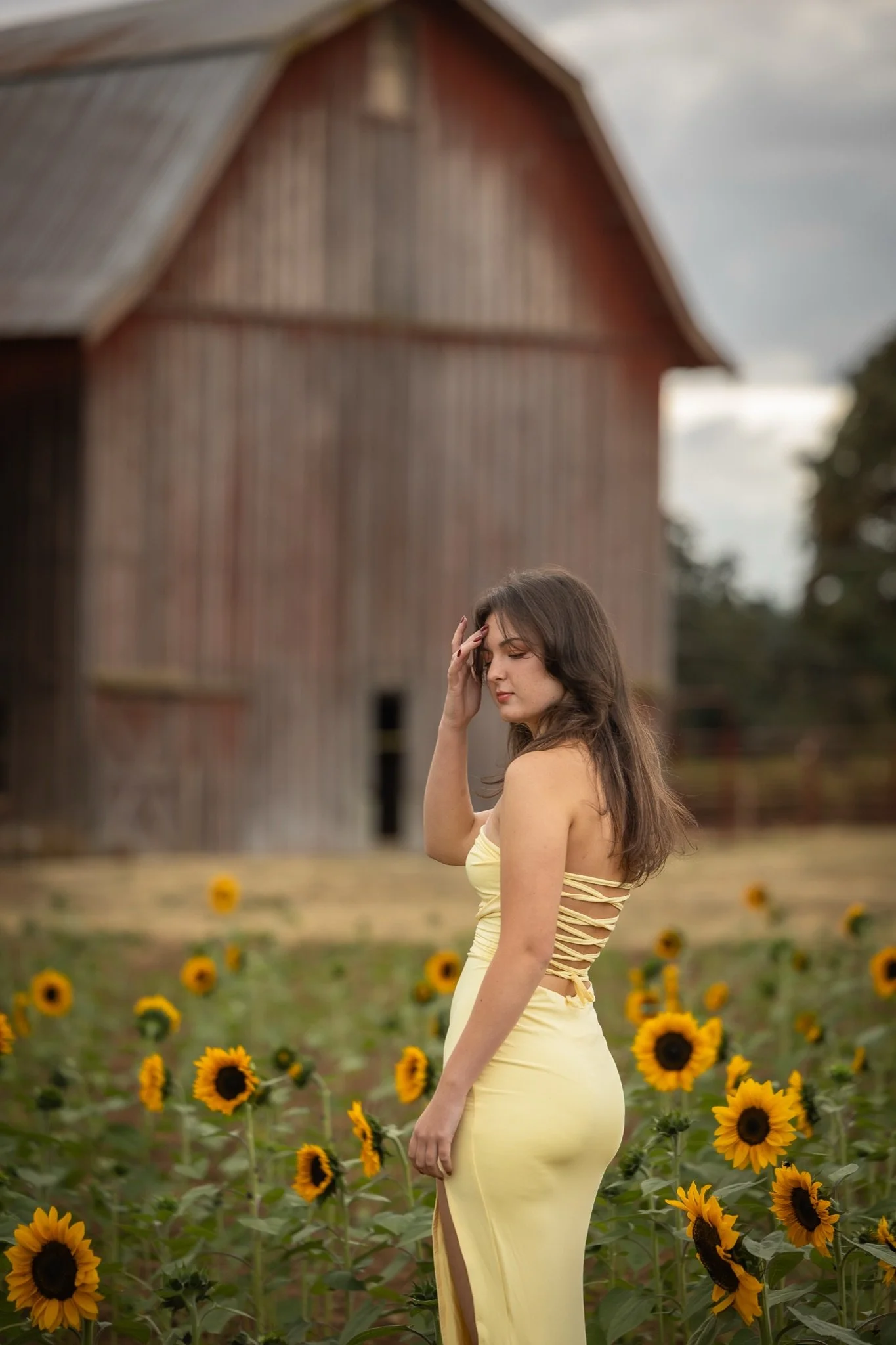 Sandy-Oregon-Senior-Photographer-Sunflowers-Studio623Photography-17.jpg