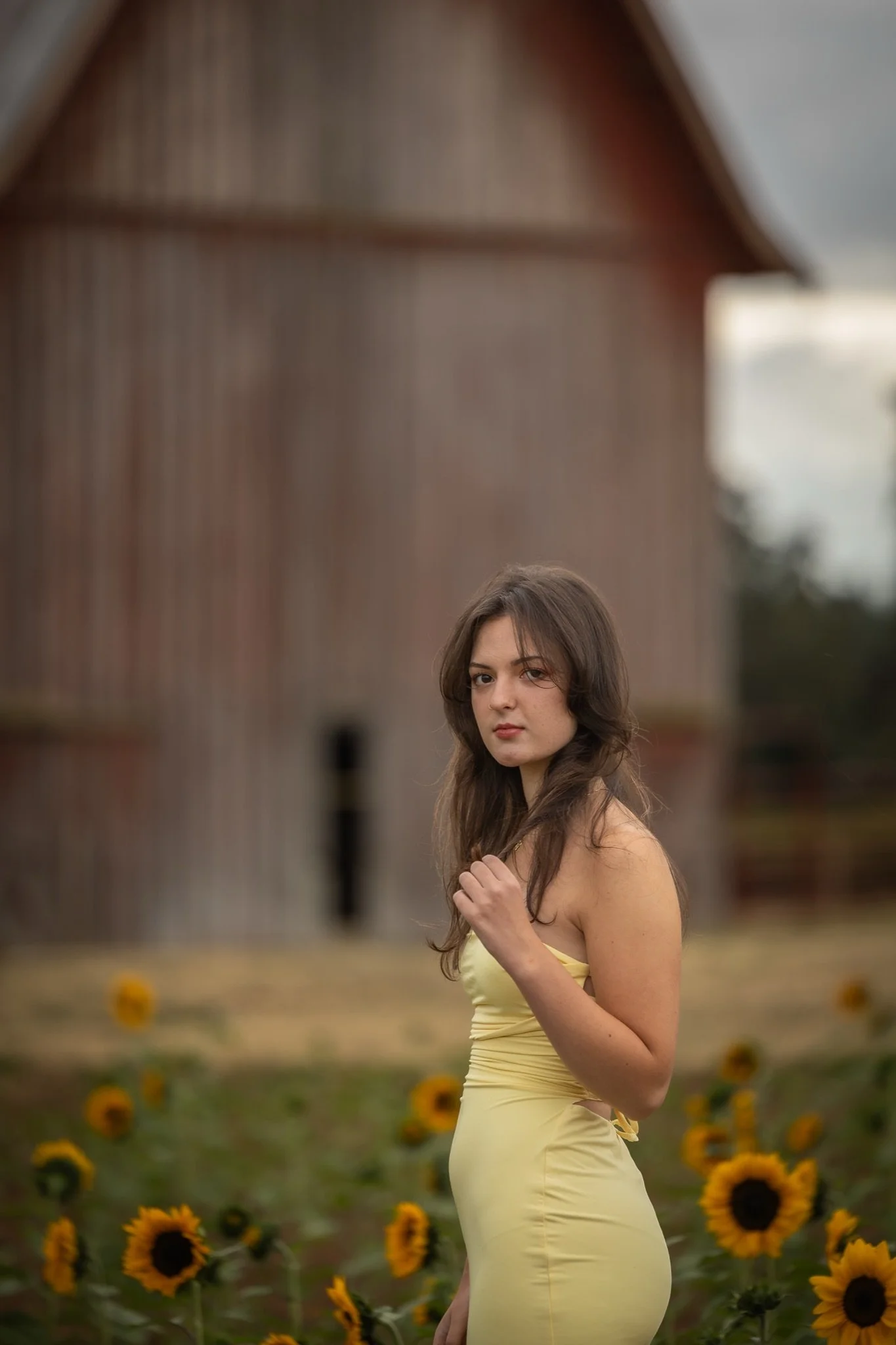 Sandy-Oregon-Senior-Photographer-Sunflowers-Studio623Photography-19.jpg