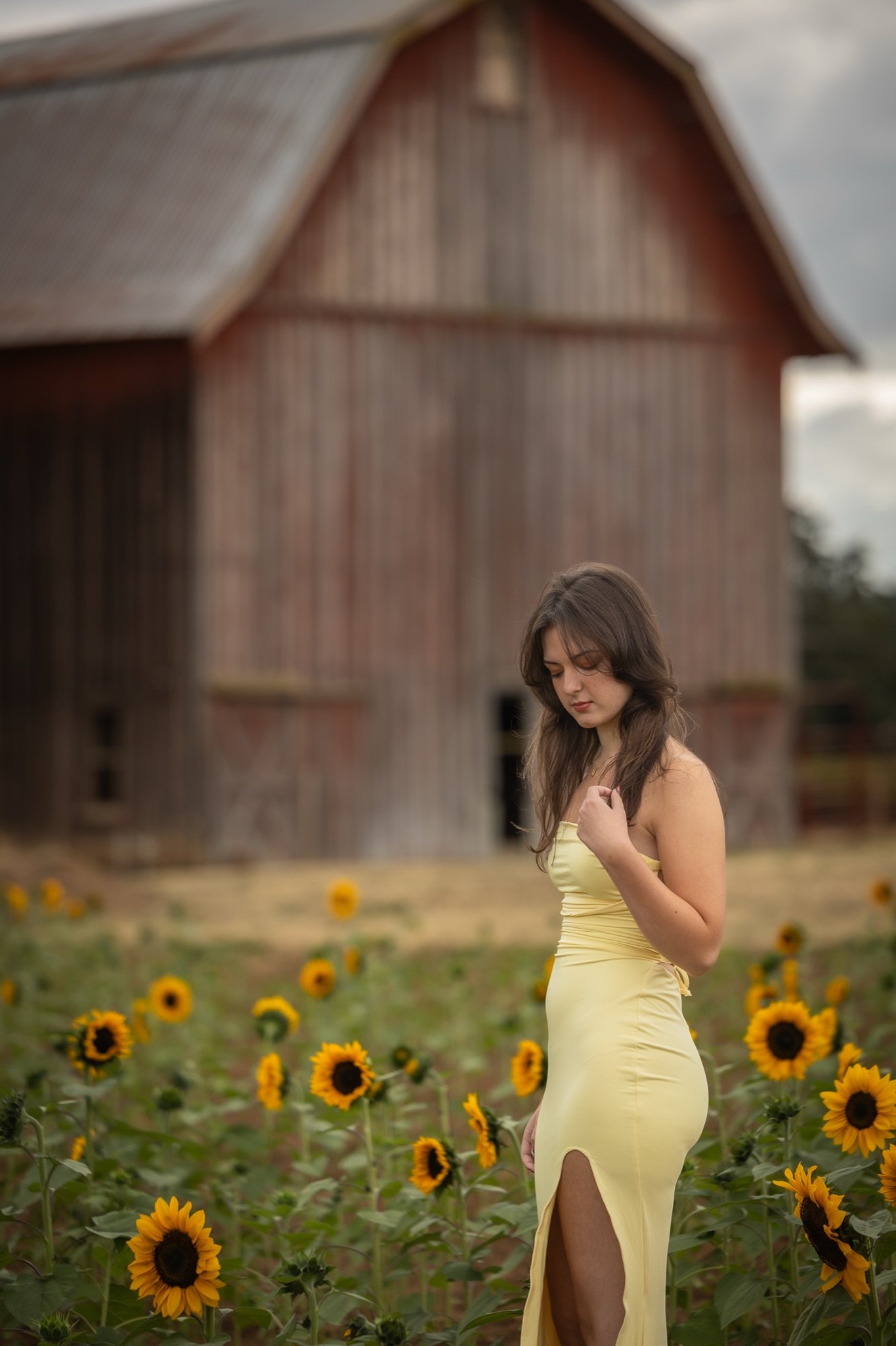 Sandy-Oregon-Senior-Photographer-Sunflowers-Studio623Photography-20.jpg