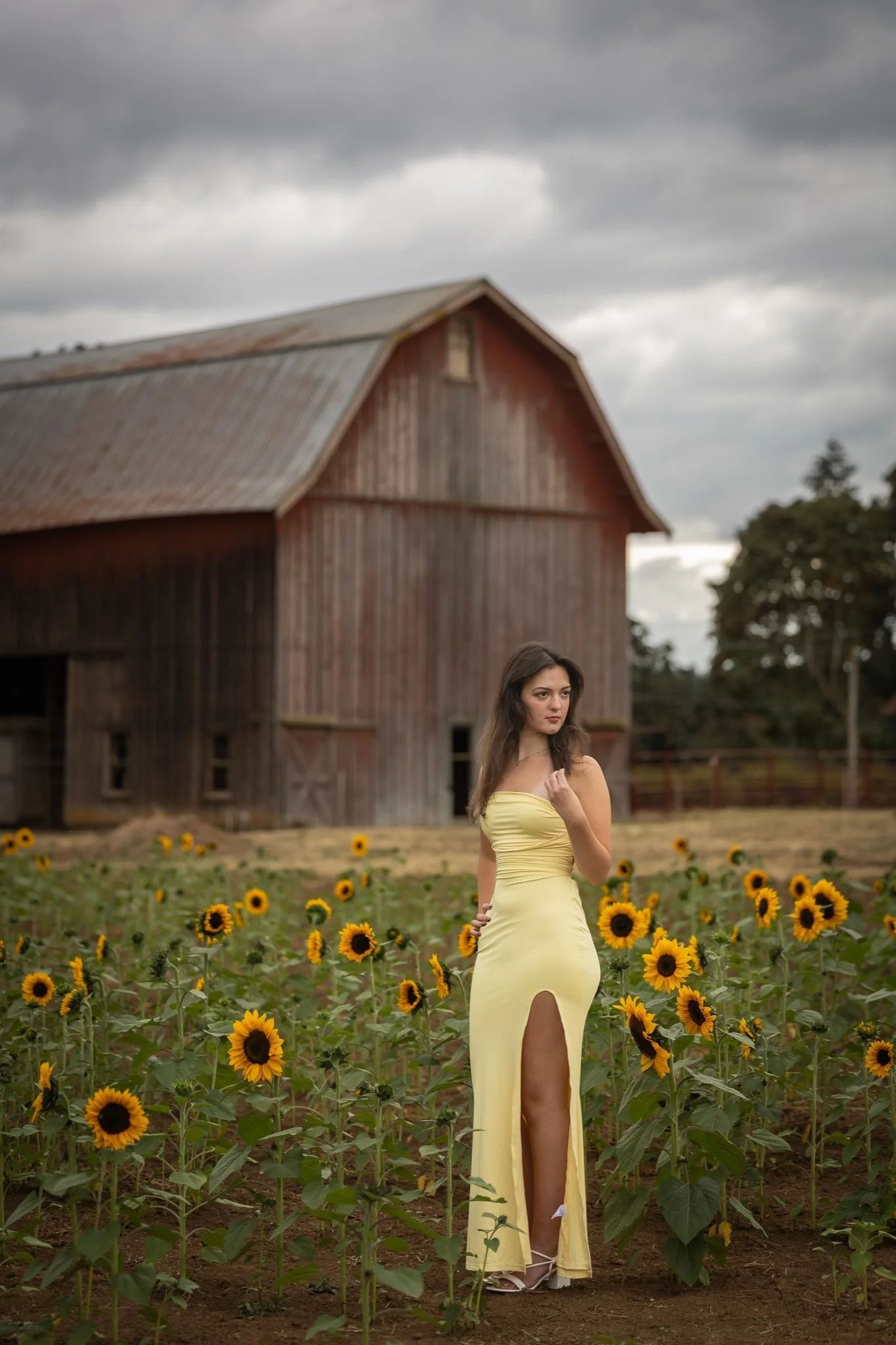 Sandy-Oregon-Senior-Photographer-Sunflowers-Studio623Photography-21.jpg