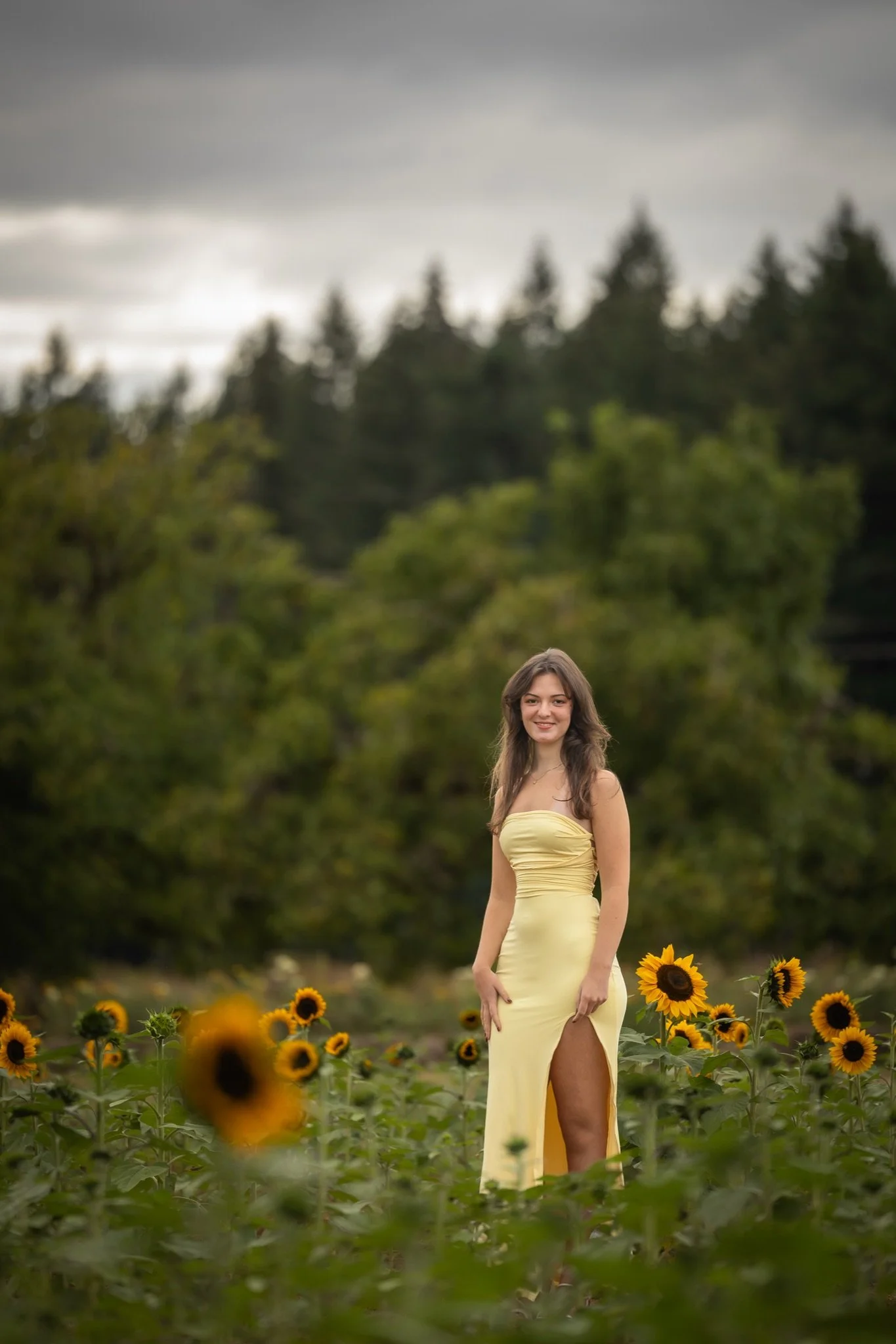 Sandy-Oregon-Senior-Photographer-Sunflowers-Studio623Photography-22.jpg