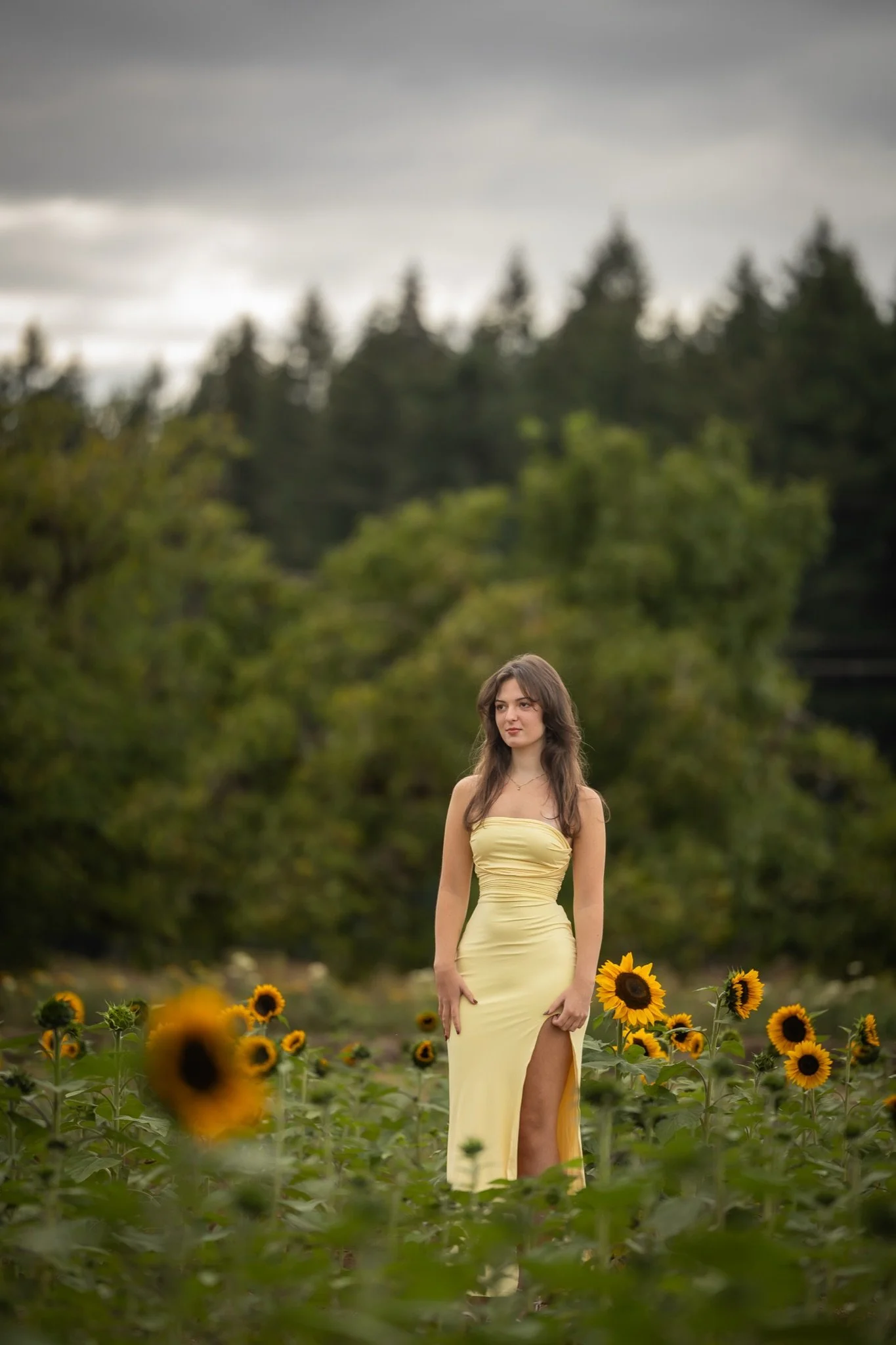 Sandy-Oregon-Senior-Photographer-Sunflowers-Studio623Photography-23.jpg