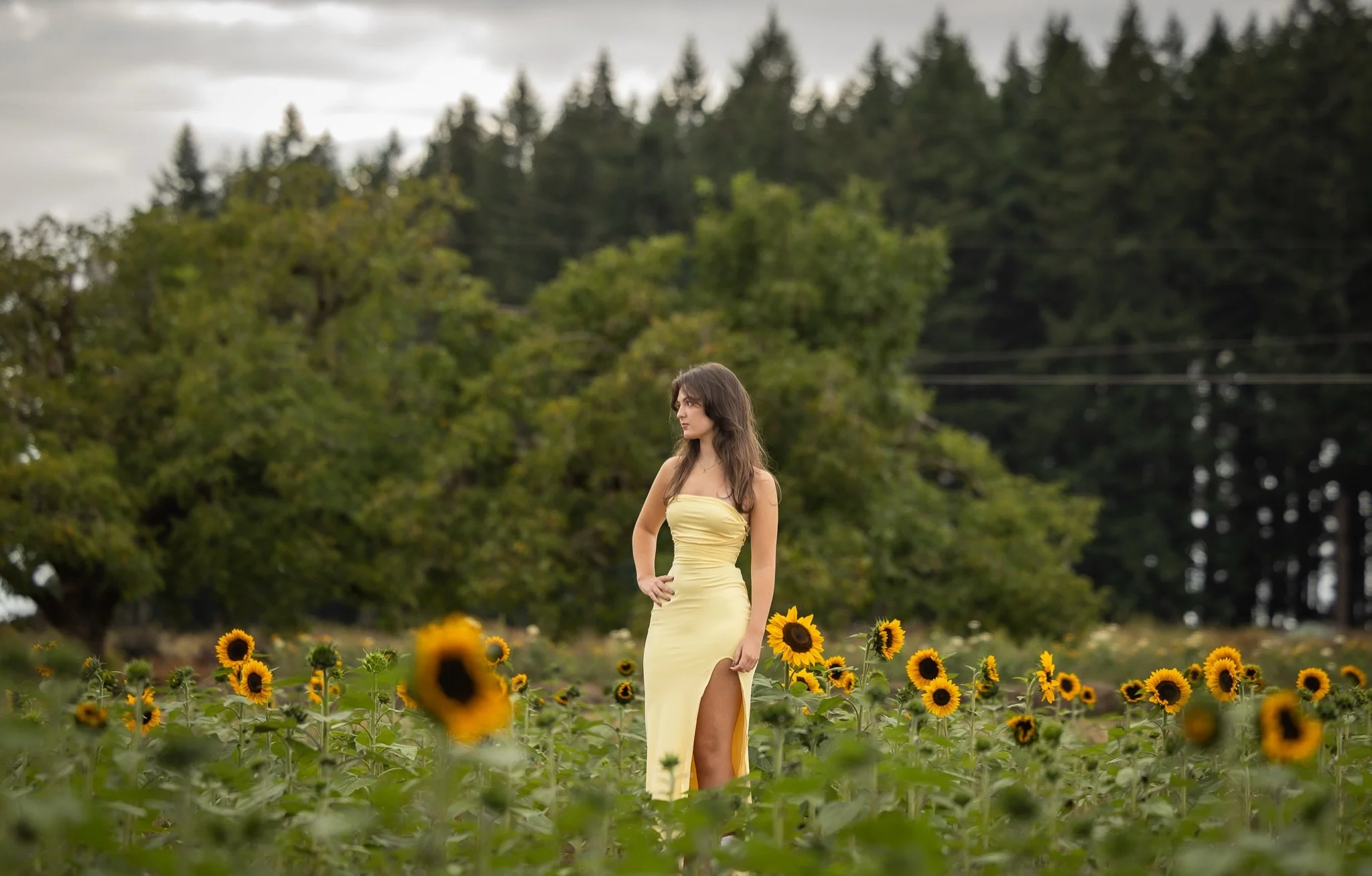 Sandy-Oregon-Senior-Photographer-Sunflowers-Studio623Photography-24.jpg