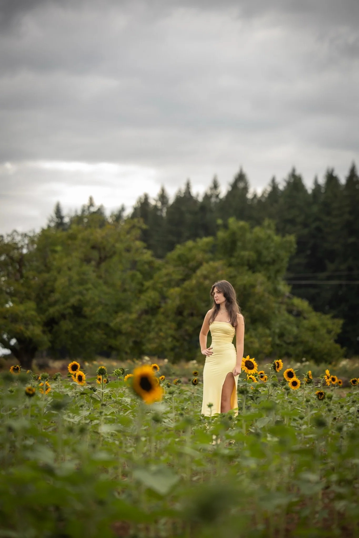 Sandy-Oregon-Senior-Photographer-Sunflowers-Studio623Photography-25.jpg