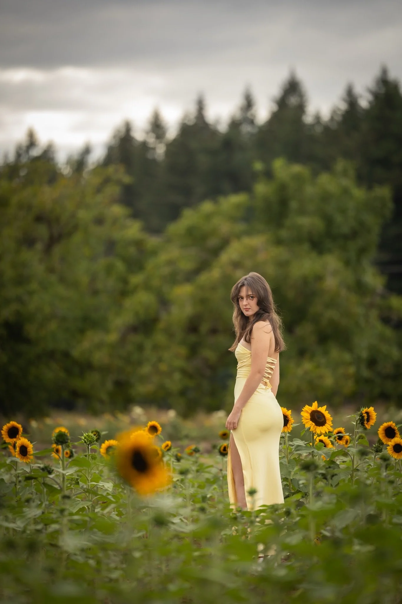 Sandy-Oregon-Senior-Photographer-Sunflowers-Studio623Photography-26.jpg