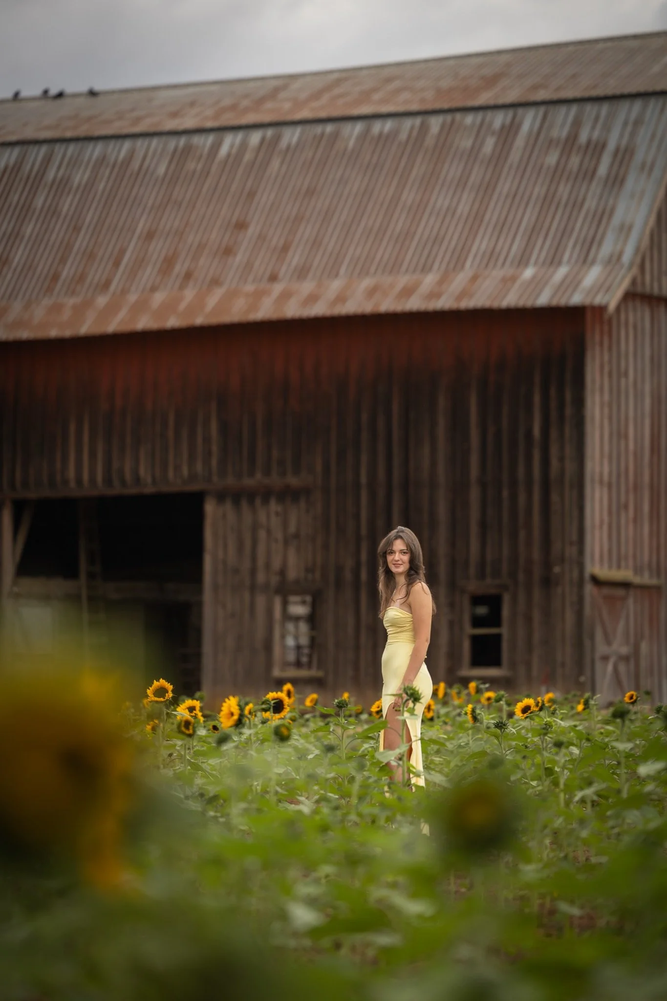 Sandy-Oregon-Senior-Photographer-Sunflowers-Studio623Photography-29.jpg