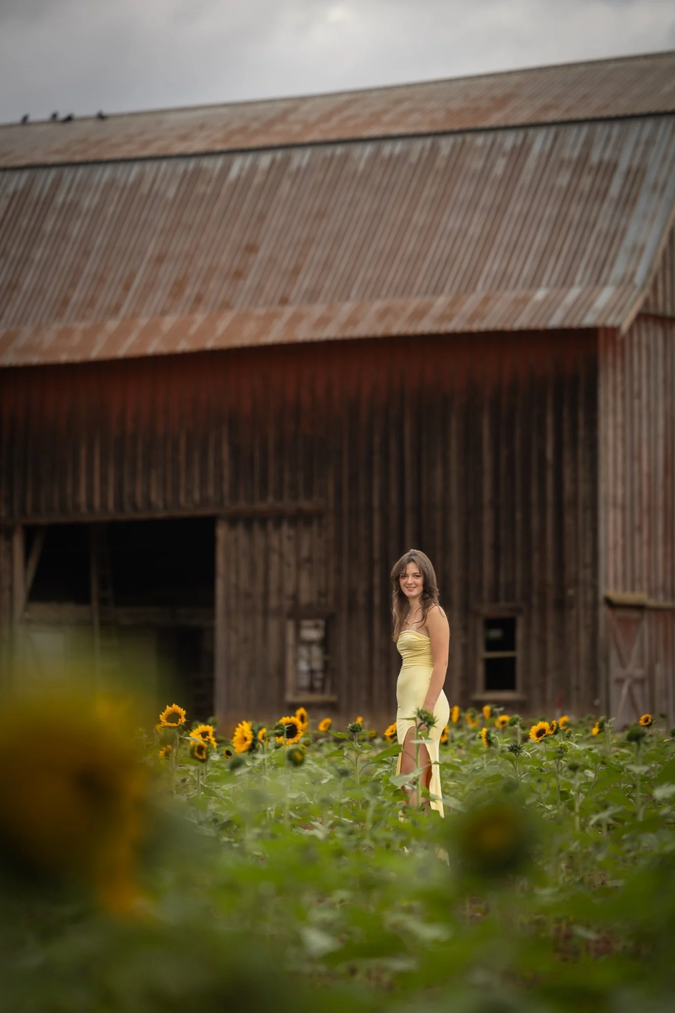 Sandy-Oregon-Senior-Photographer-Sunflowers-Studio623Photography-30.jpg