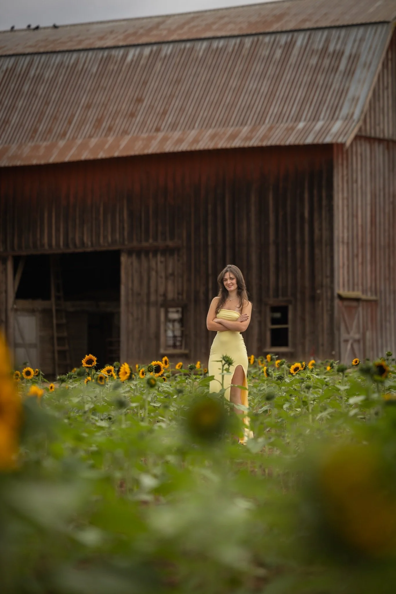 Sandy-Oregon-Senior-Photographer-Sunflowers-Studio623Photography-31.jpg