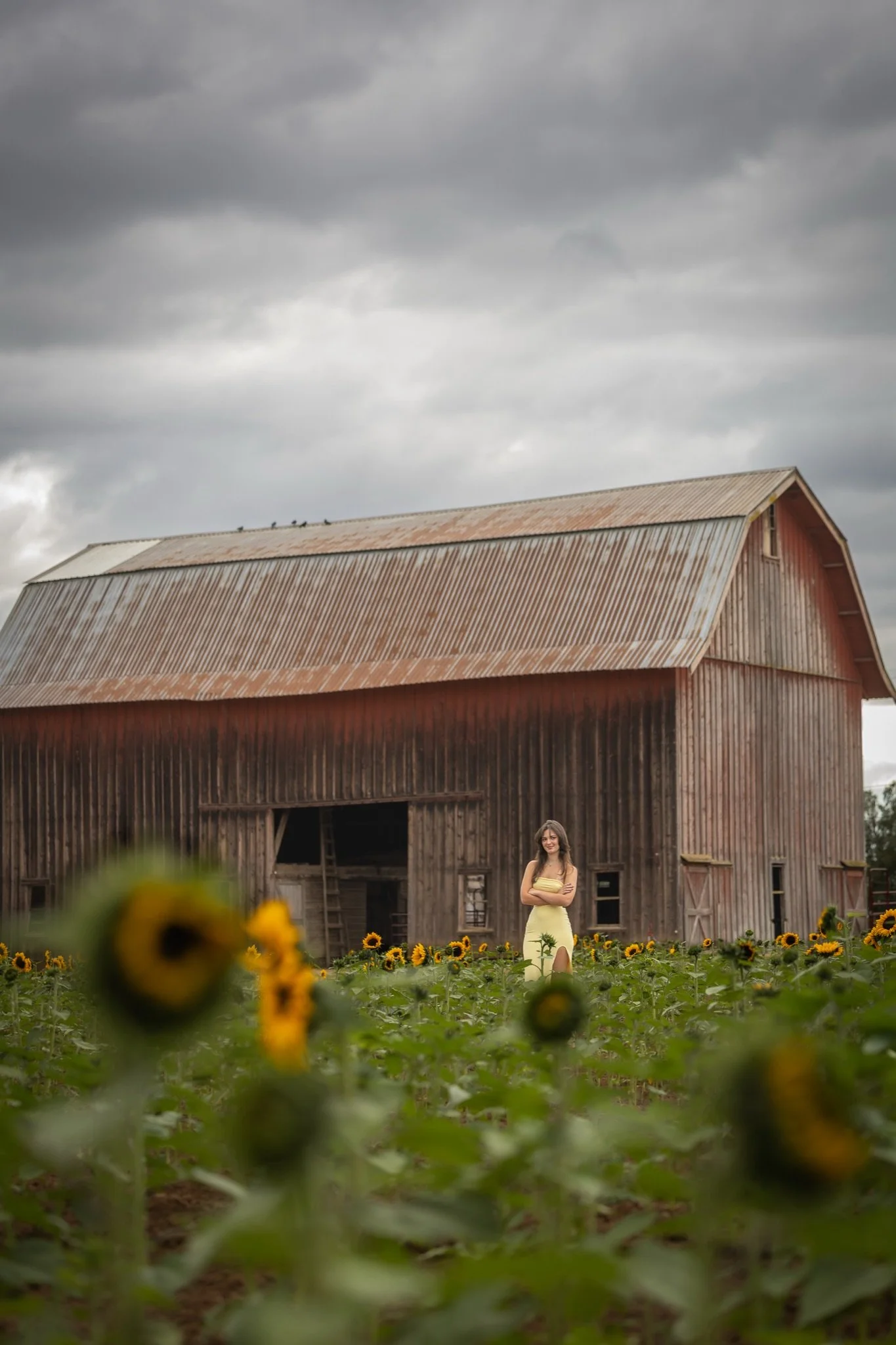 Sandy-Oregon-Senior-Photographer-Sunflowers-Studio623Photography-32.jpg