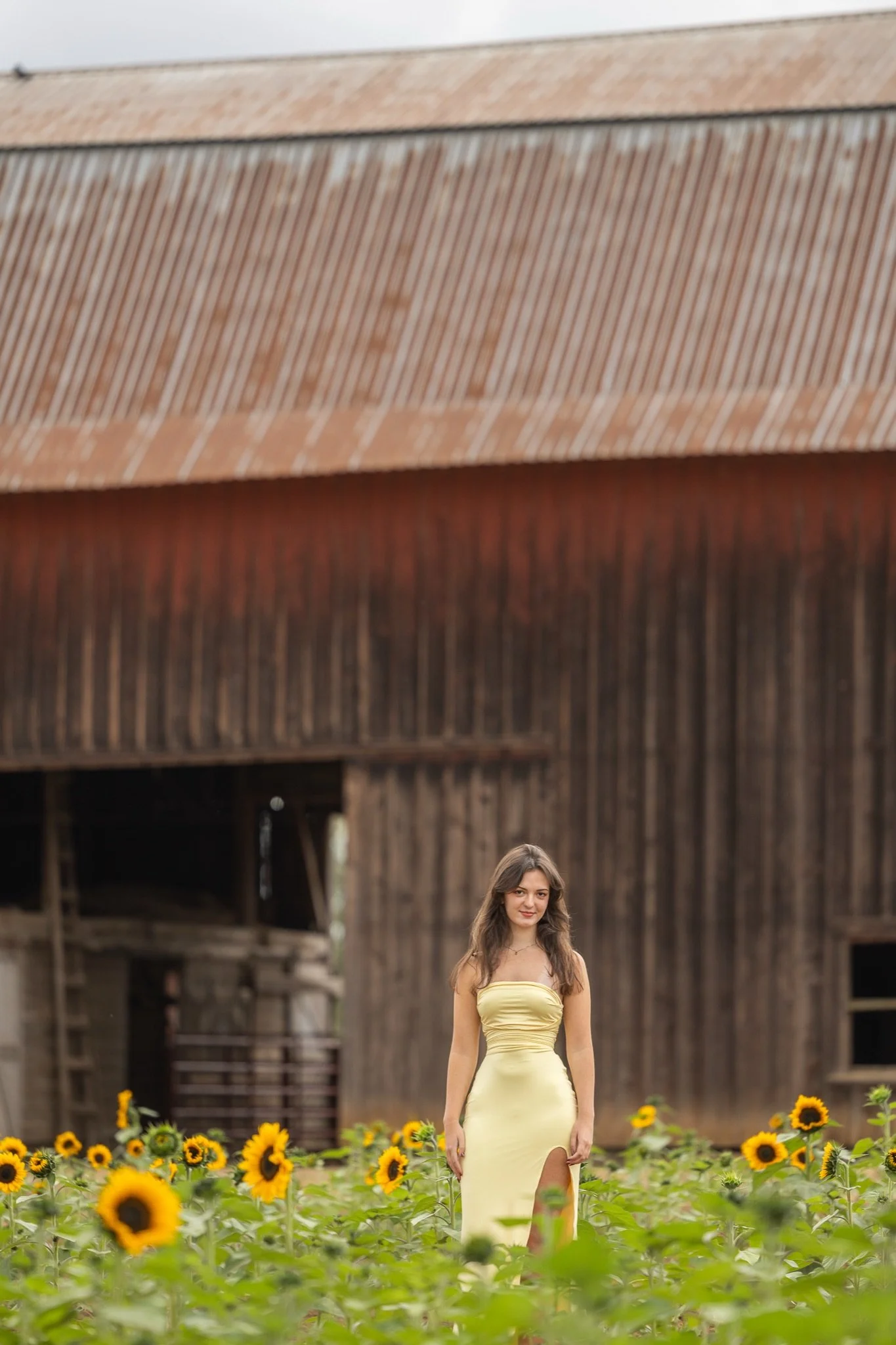 Sandy-Oregon-Senior-Photographer-Sunflowers-Studio623Photography-33.jpg