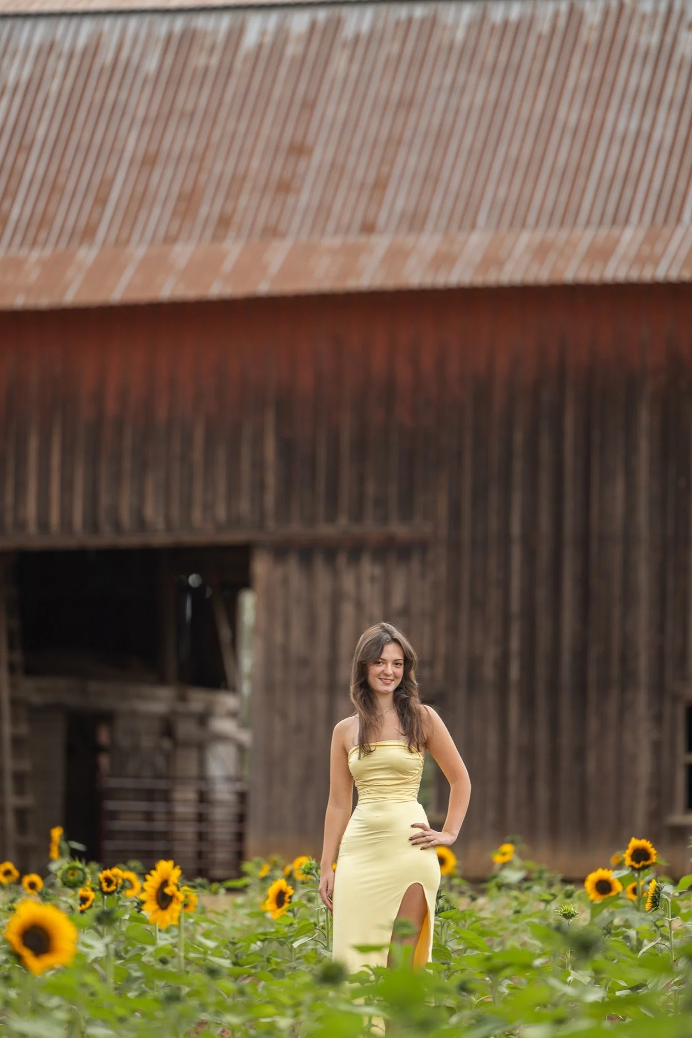 Sandy-Oregon-Senior-Photographer-Sunflowers-Studio623Photography-34.jpg