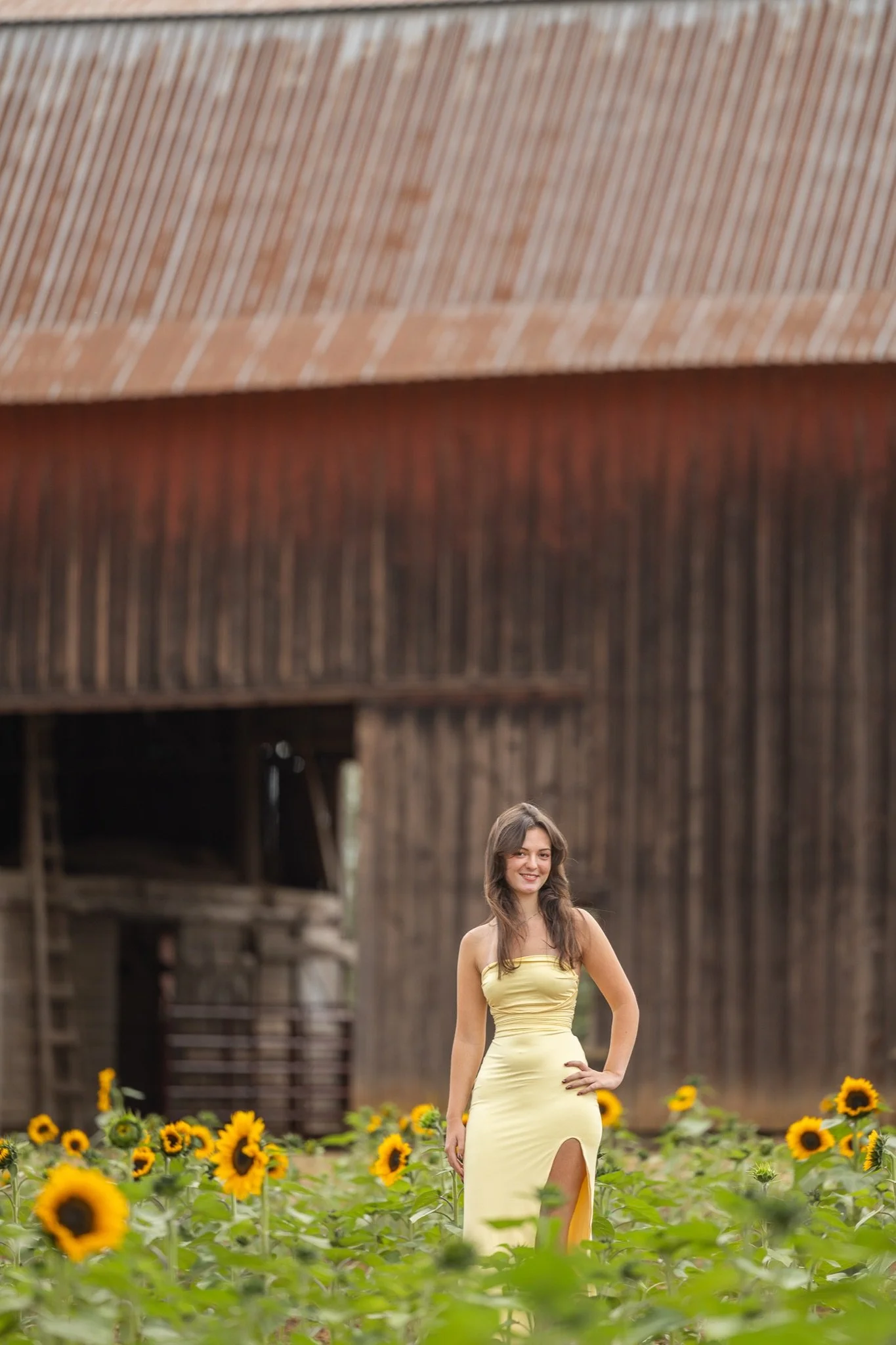 Sandy-Oregon-Senior-Photographer-Sunflowers-Studio623Photography-35.jpg