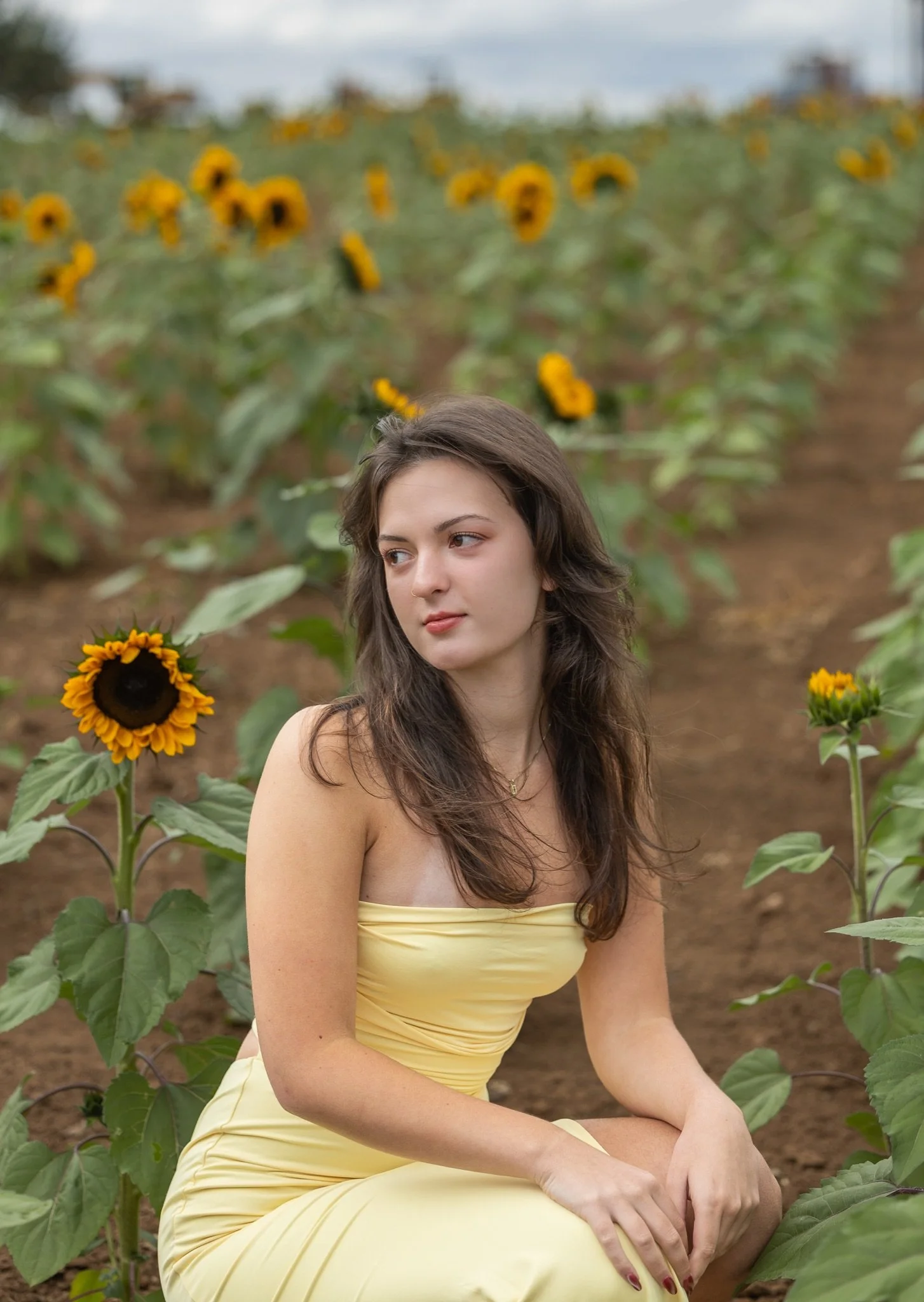 Sandy-Oregon-Senior-Photographer-Sunflowers-Studio623Photography-37.jpg