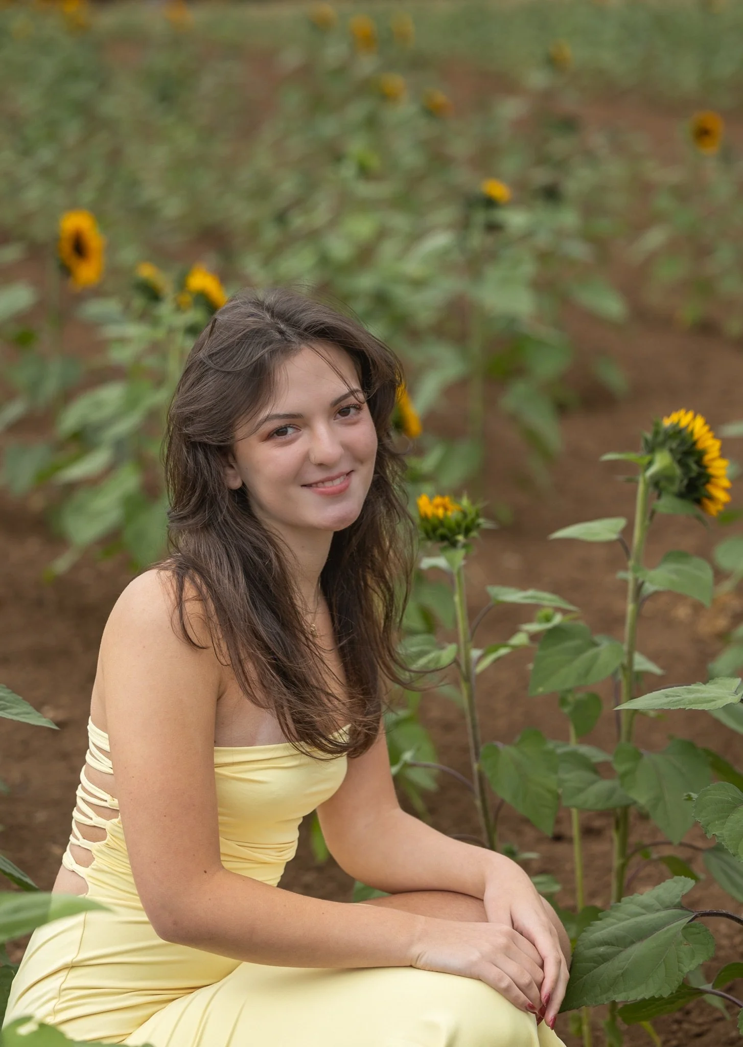 Sandy-Oregon-Senior-Photographer-Sunflowers-Studio623Photography-38.jpg