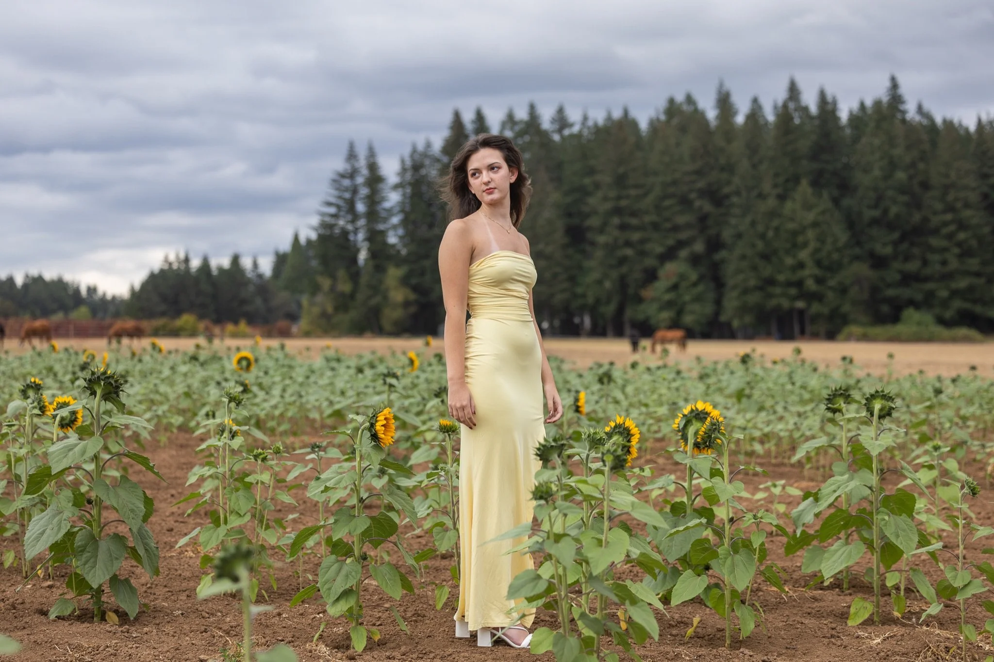 Sandy-Oregon-Senior-Photographer-Sunflowers-Studio623Photography-43.jpg