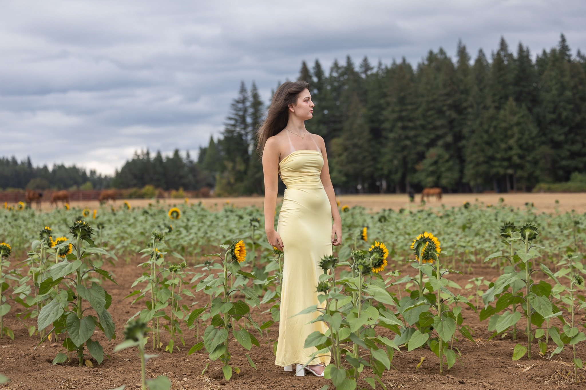 Sandy-Oregon-Senior-Photographer-Sunflowers-Studio623Photography-44.jpg