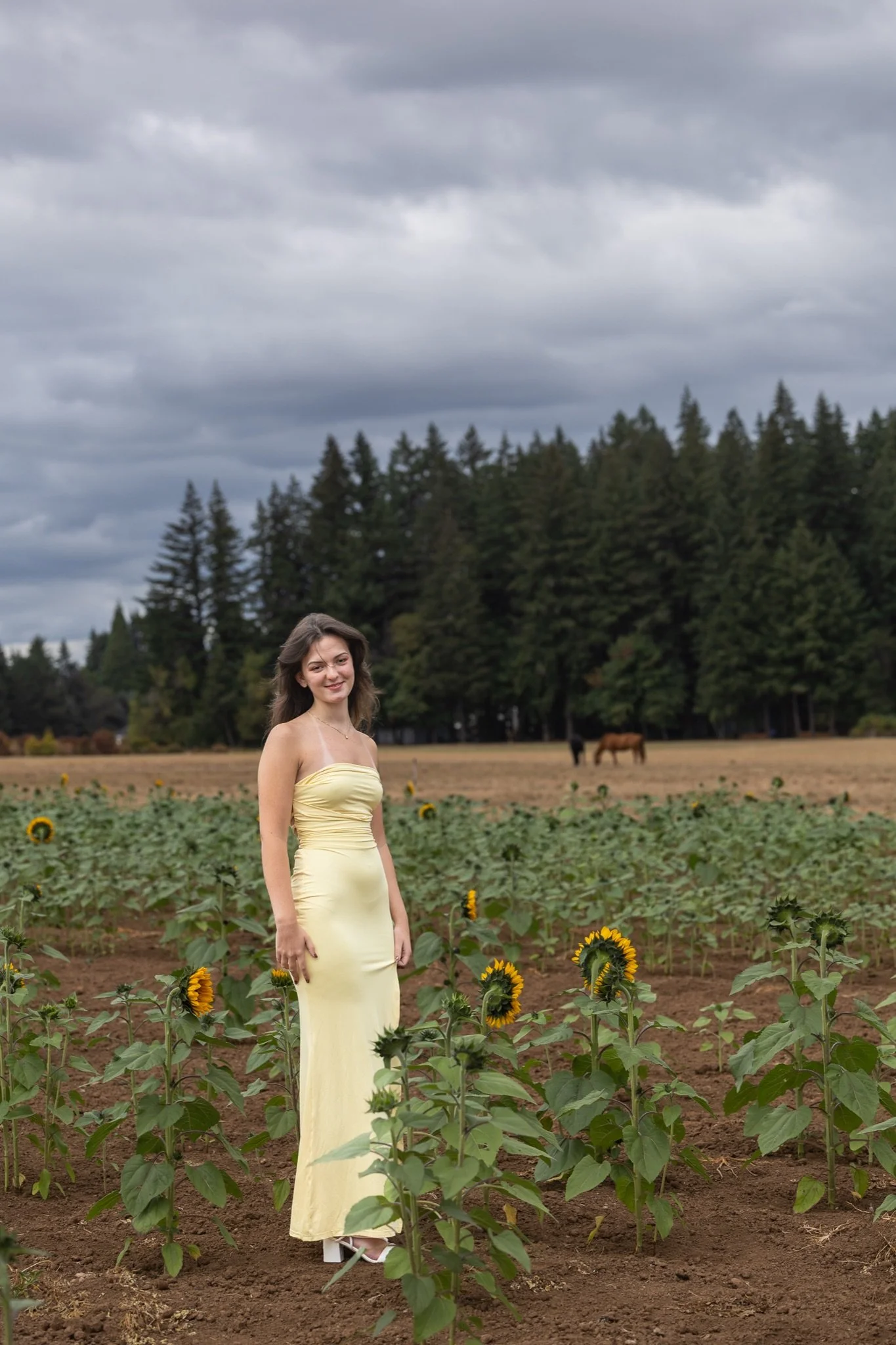 Sandy-Oregon-Senior-Photographer-Sunflowers-Studio623Photography-45.jpg