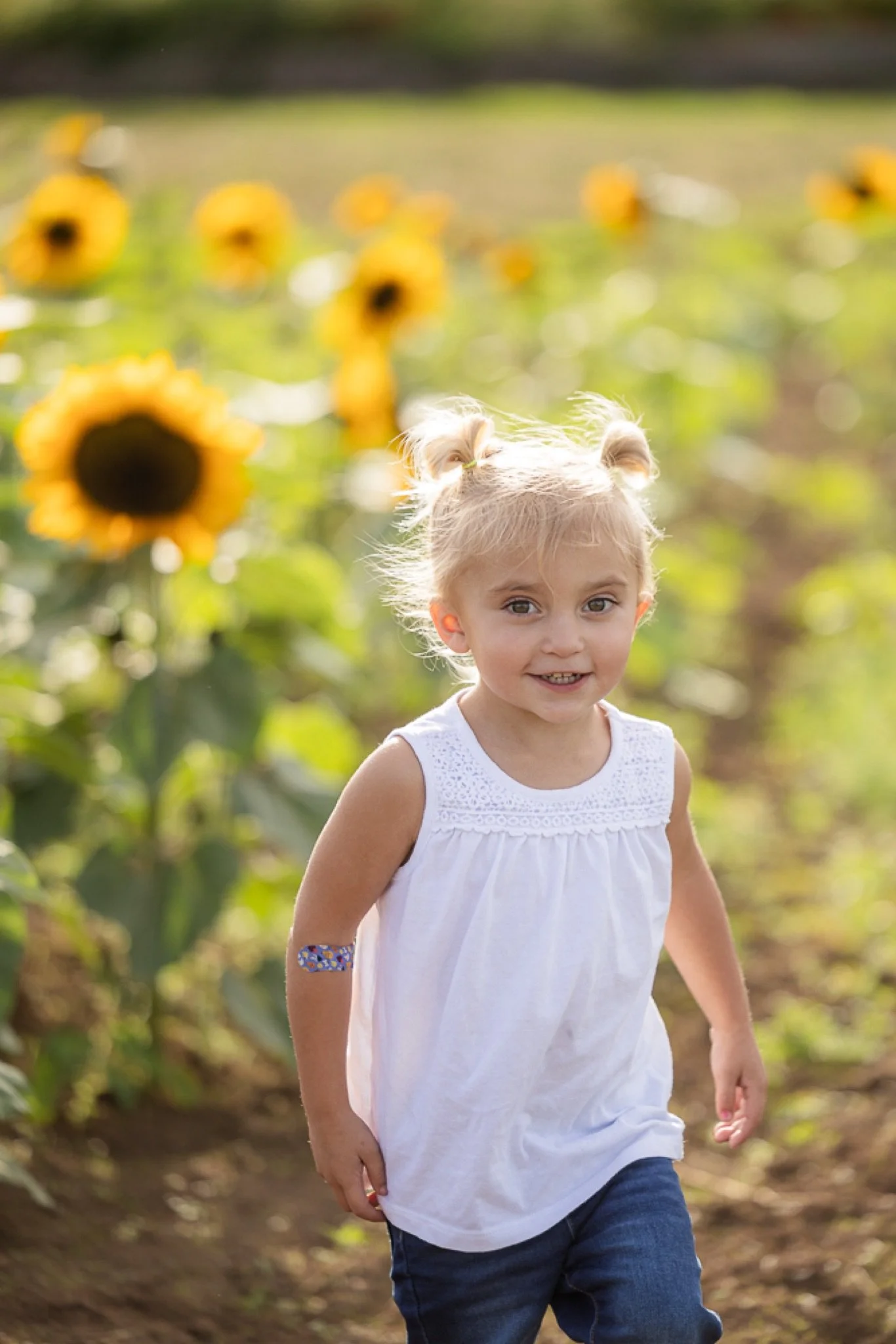 Philip-Foster-Farm-Family-Photos-Sunflowers-Studio623Photography-05.jpg