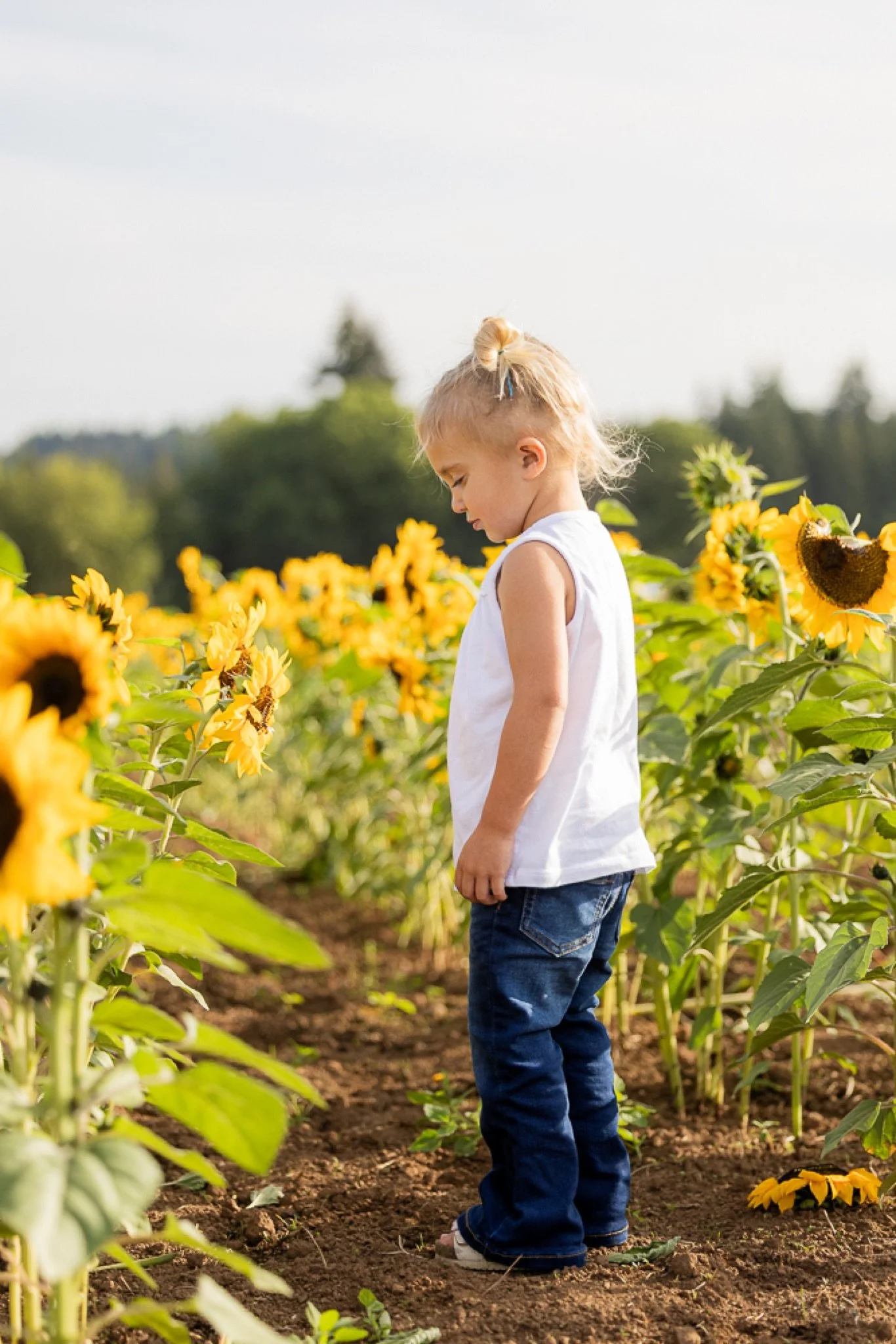 Philip-Foster-Farm-Family-Photos-Sunflowers-Studio623Photography-08.jpg