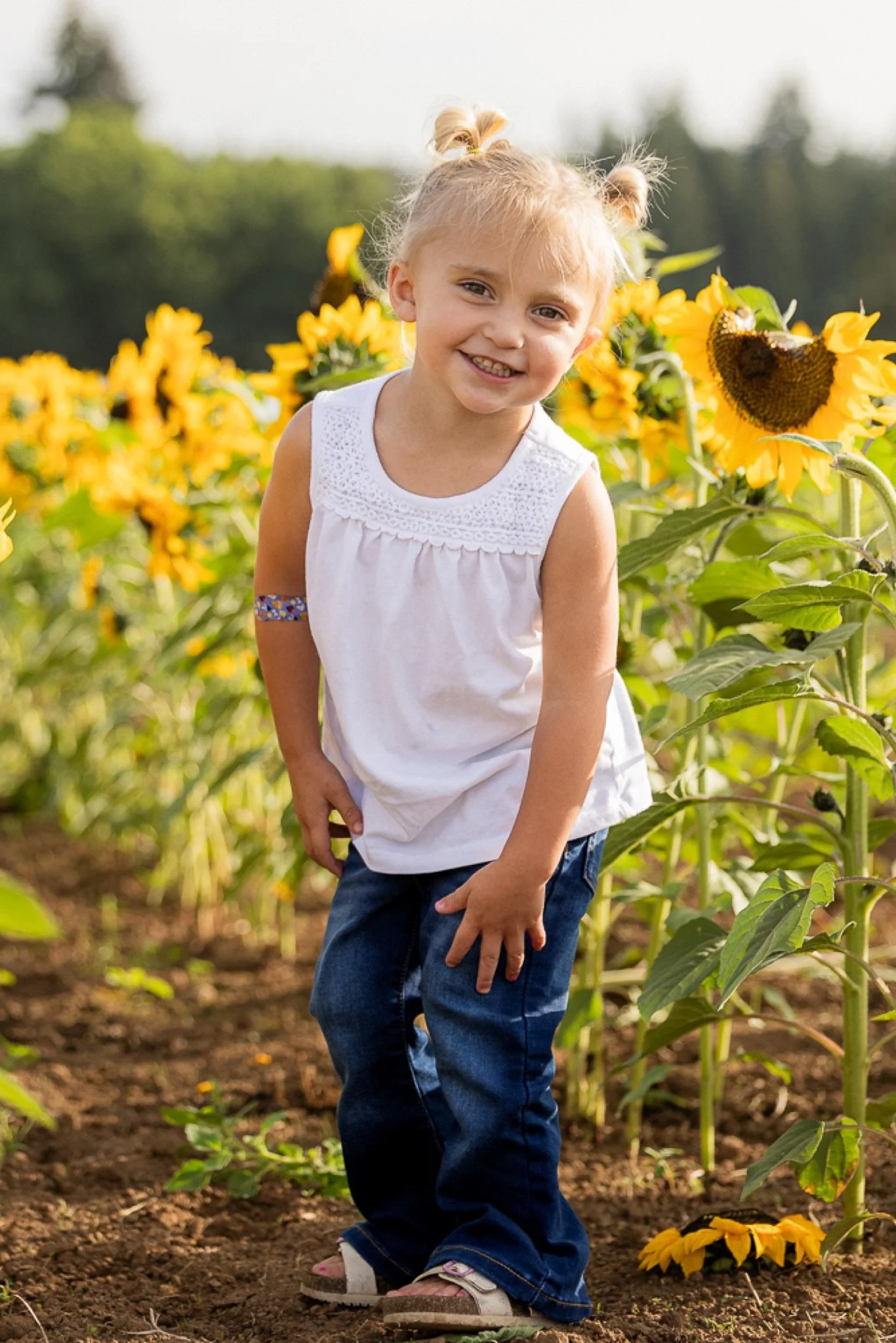 Philip-Foster-Farm-Family-Photos-Sunflowers-Studio623Photography-09.jpg