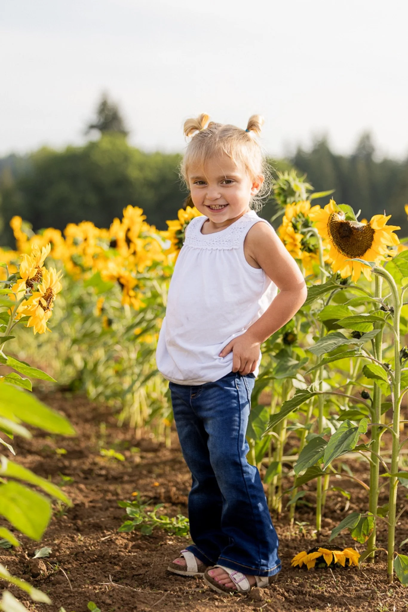 Philip-Foster-Farm-Family-Photos-Sunflowers-Studio623Photography-10.jpg