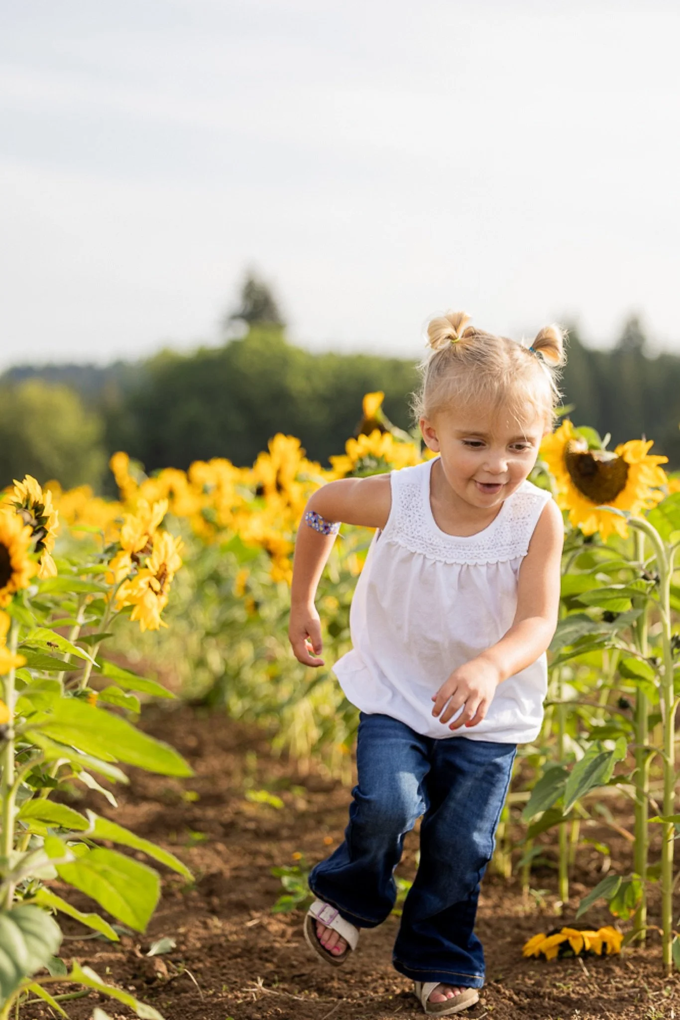 Philip-Foster-Farm-Family-Photos-Sunflowers-Studio623Photography-11.jpg