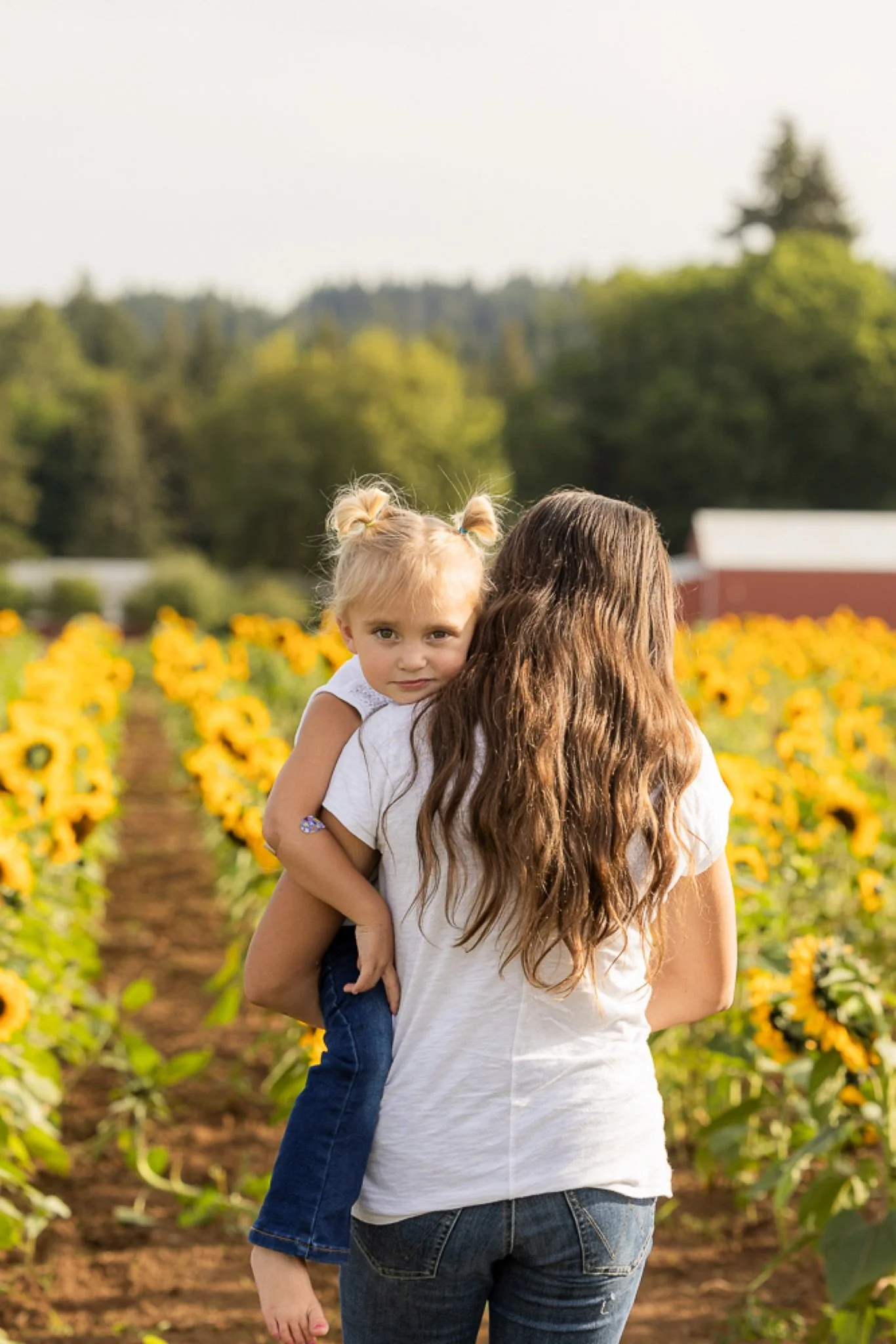 Philip-Foster-Farm-Family-Photos-Sunflowers-Studio623Photography-18.jpg