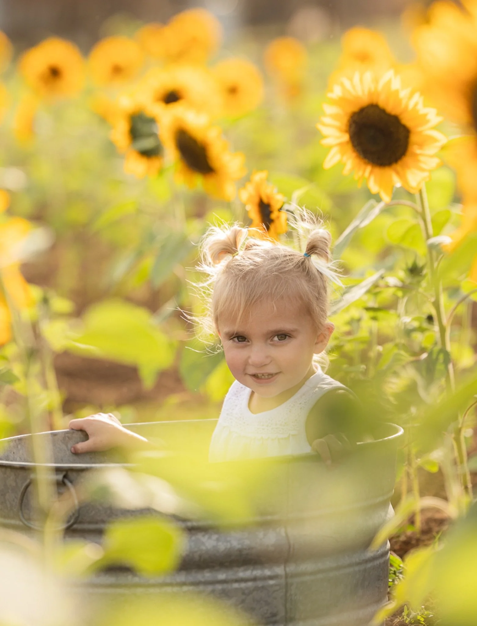 Philip-Foster-Farm-Family-Photos-Sunflowers-Studio623Photography-27.jpg