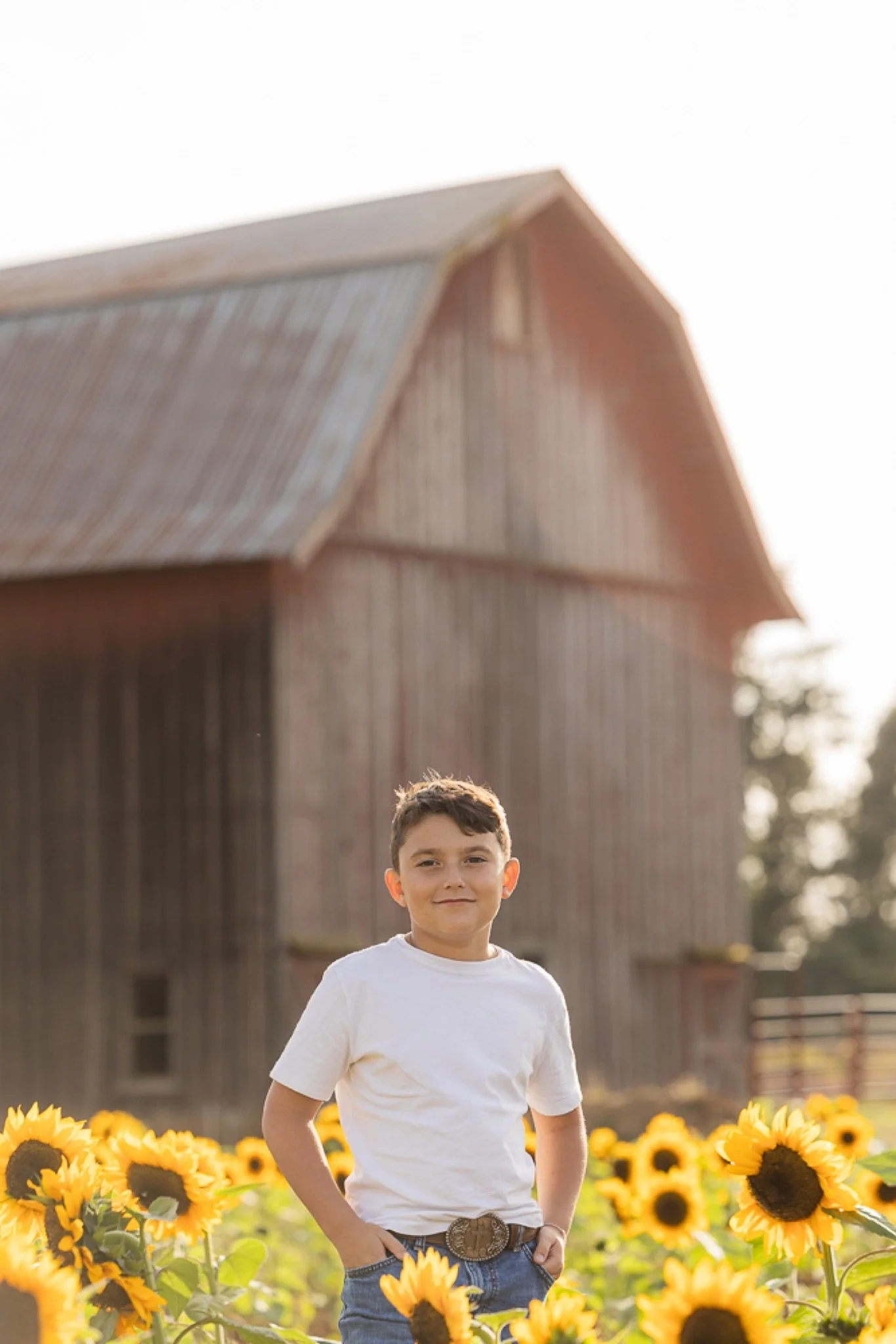 Philip-Foster-Farm-Family-Photos-Sunflowers-Studio623Photography-31.jpg