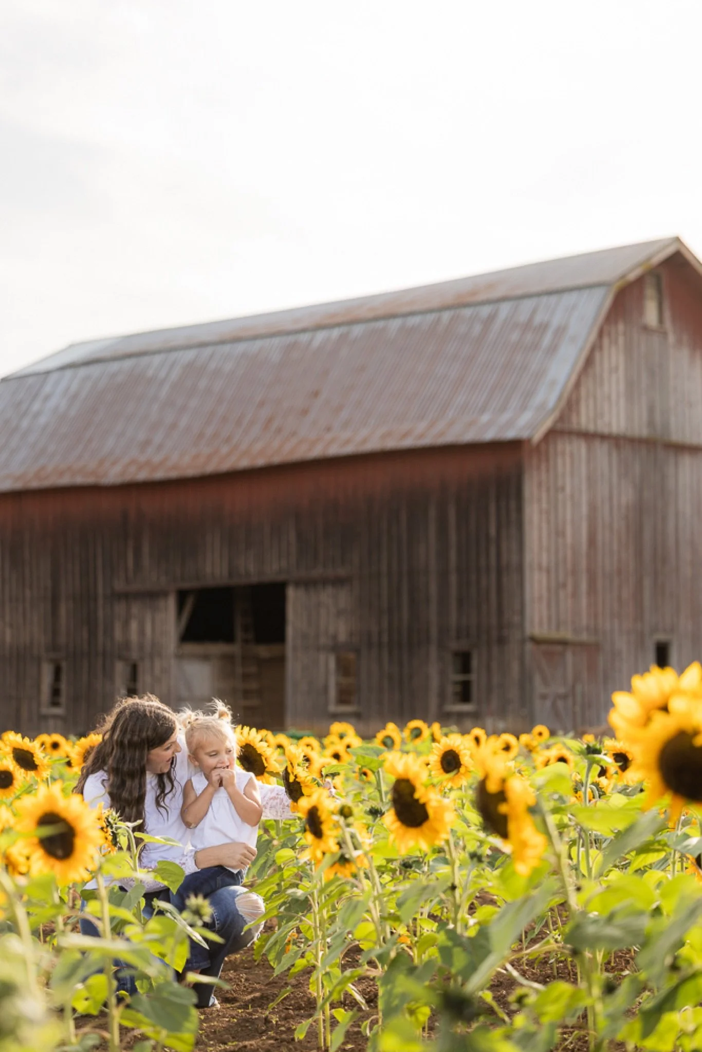 Philip-Foster-Farm-Family-Photos-Sunflowers-Studio623Photography-34.jpg
