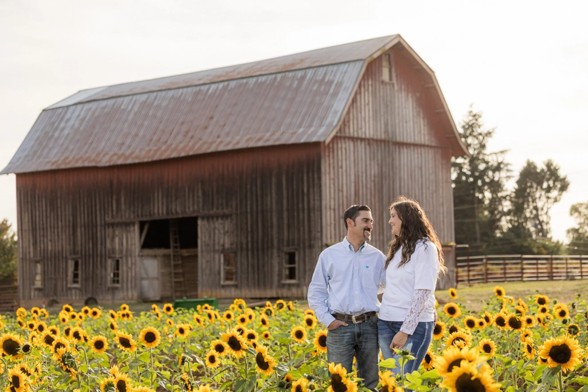 Philip-Foster-Farm-Family-Photos-Sunflowers-Studio623Photography-37.jpg