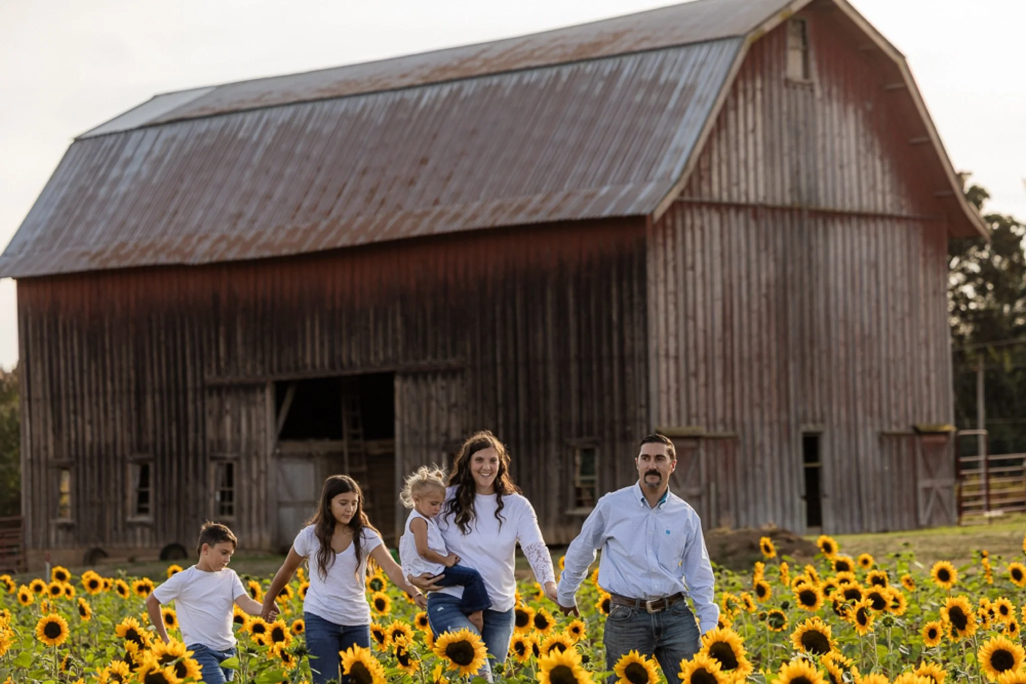 Philip-Foster-Farm-Family-Photos-Sunflowers-Studio623Photography-39.jpg