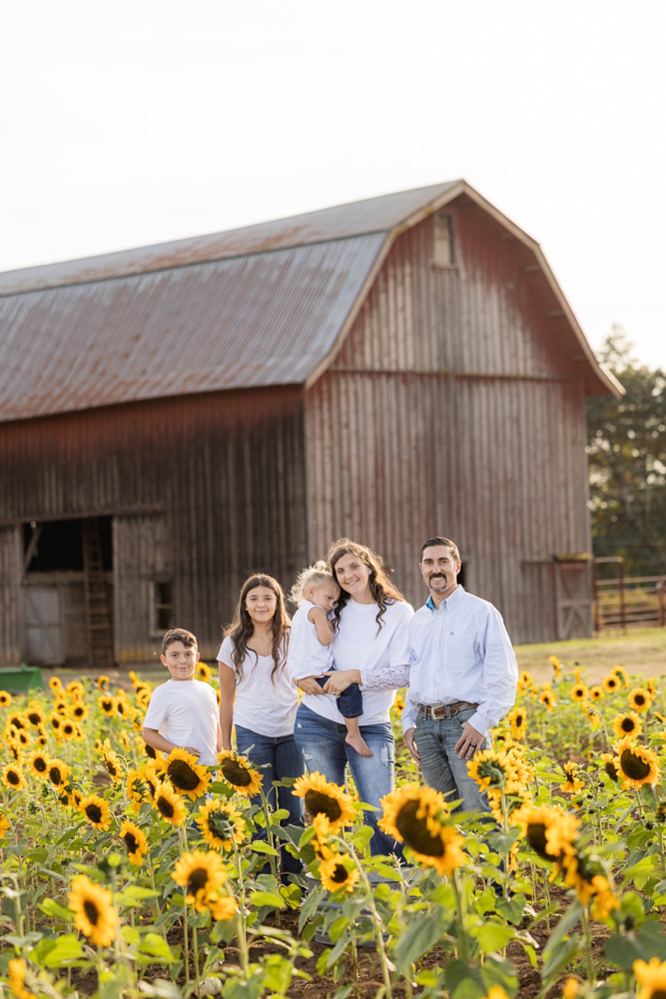 Philip-Foster-Farm-Family-Photos-Sunflowers-Studio623Photography-40.jpg