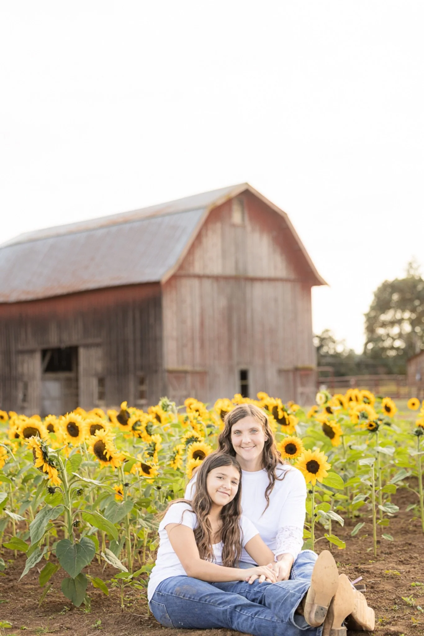 Philip-Foster-Farm-Family-Photos-Sunflowers-Studio623Photography-43.jpg