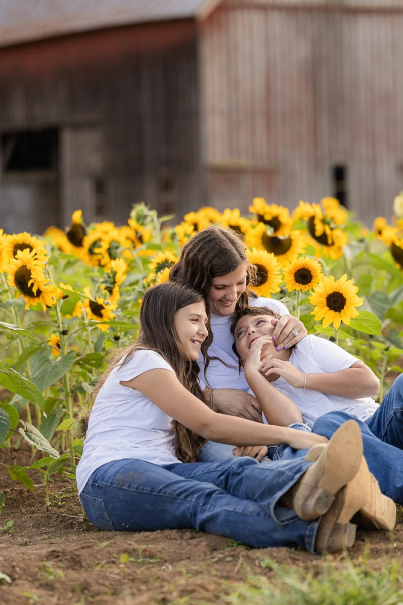 Philip-Foster-Farm-Family-Photos-Sunflowers-Studio623Photography-45.jpg