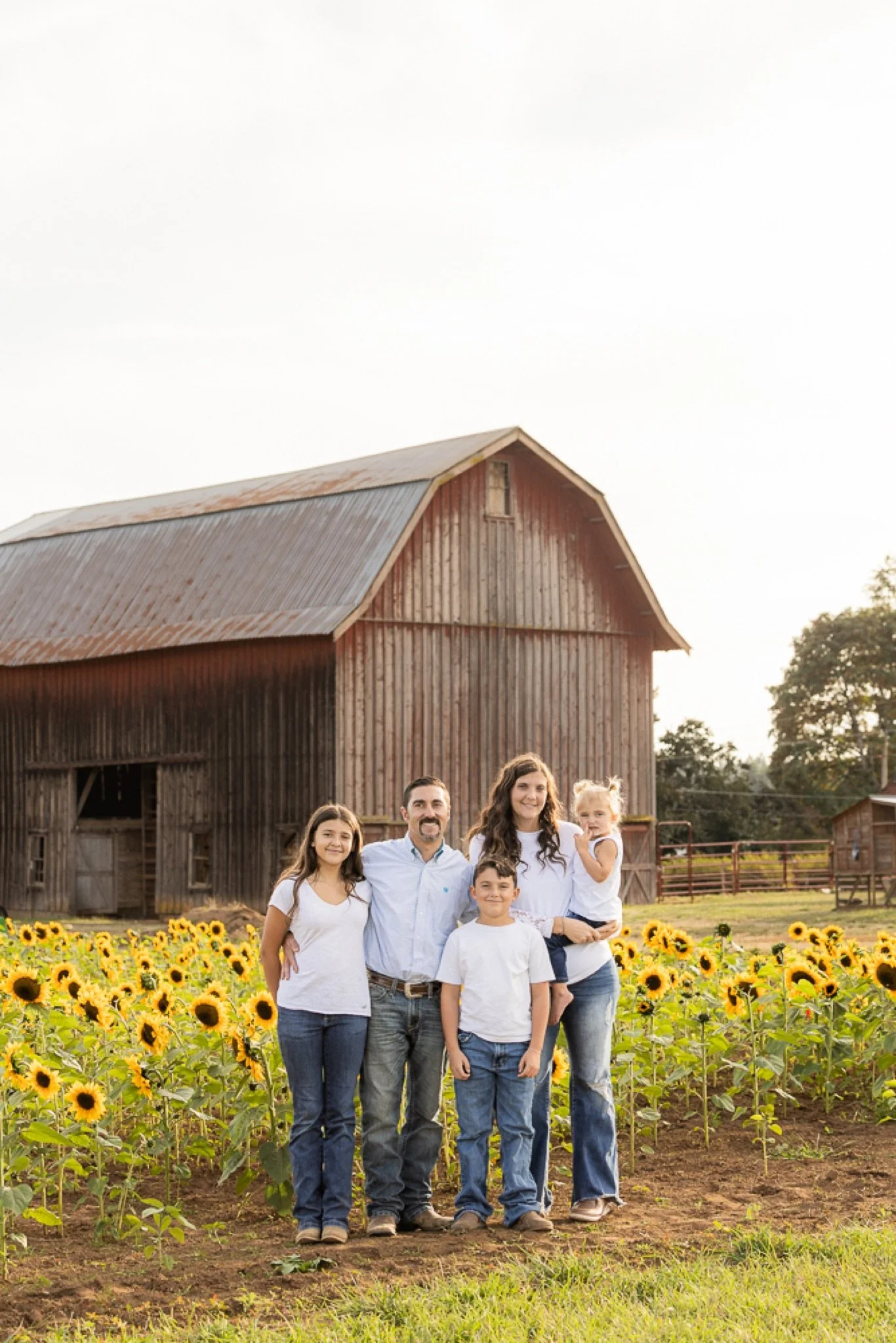 Philip-Foster-Farm-Family-Photos-Sunflowers-Studio623Photography-47.jpg
