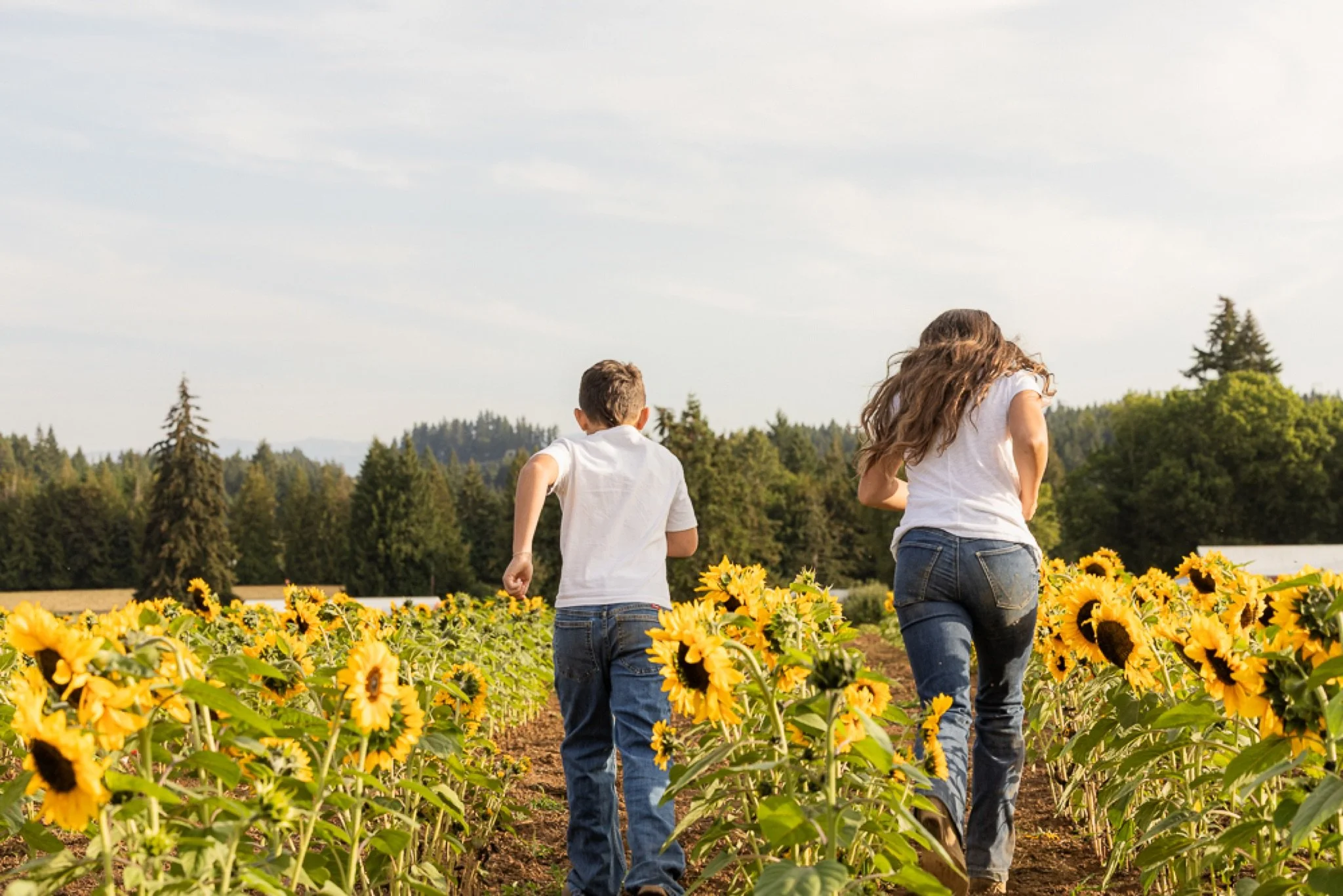 Philip-Foster-Farm-Family-Photos-Sunflowers-Studio623Photography-53.jpg