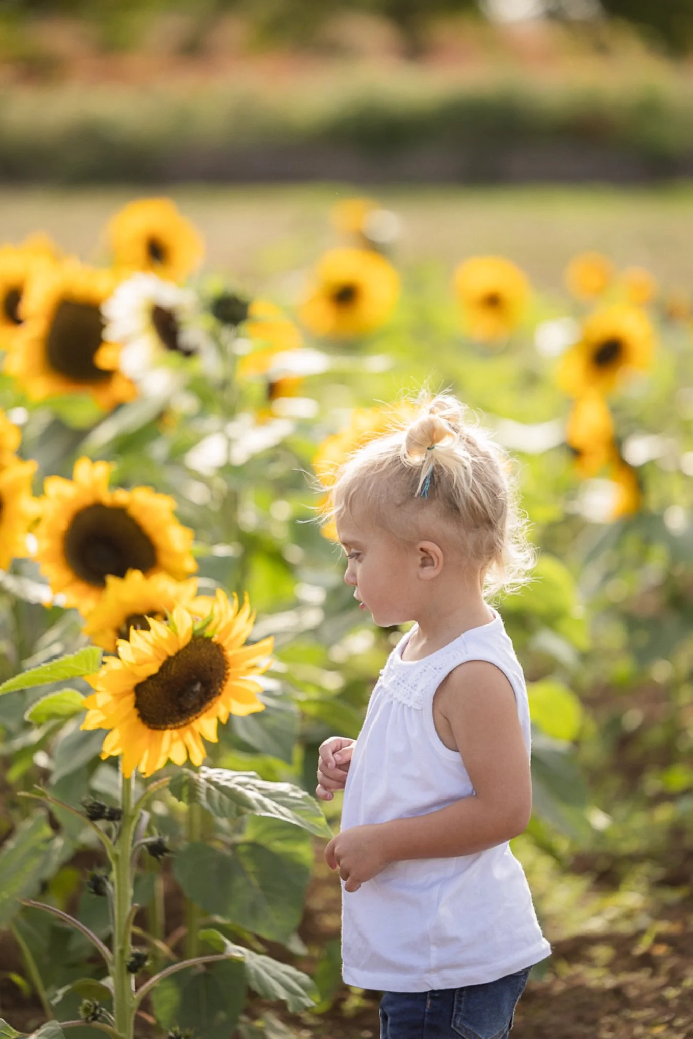 Philip-Foster-Farm-Family-Photos-Sunflowers-Studio623Photography-03.jpg