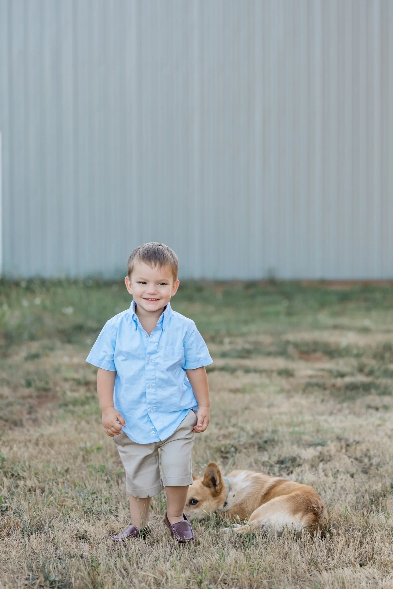 A little boy standing in the field with the corgi behind him