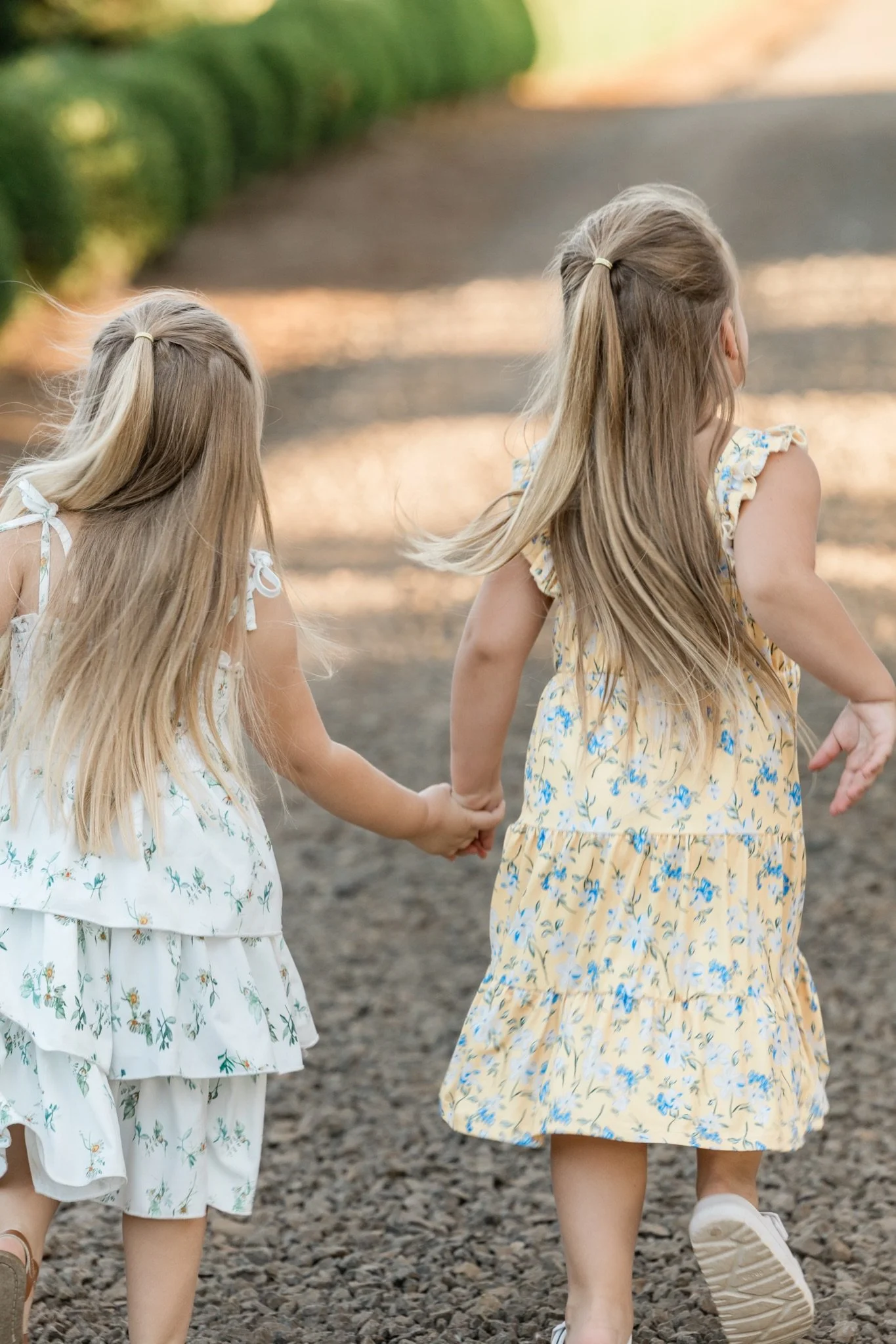 Two little sisters holding hands as they walk through the field